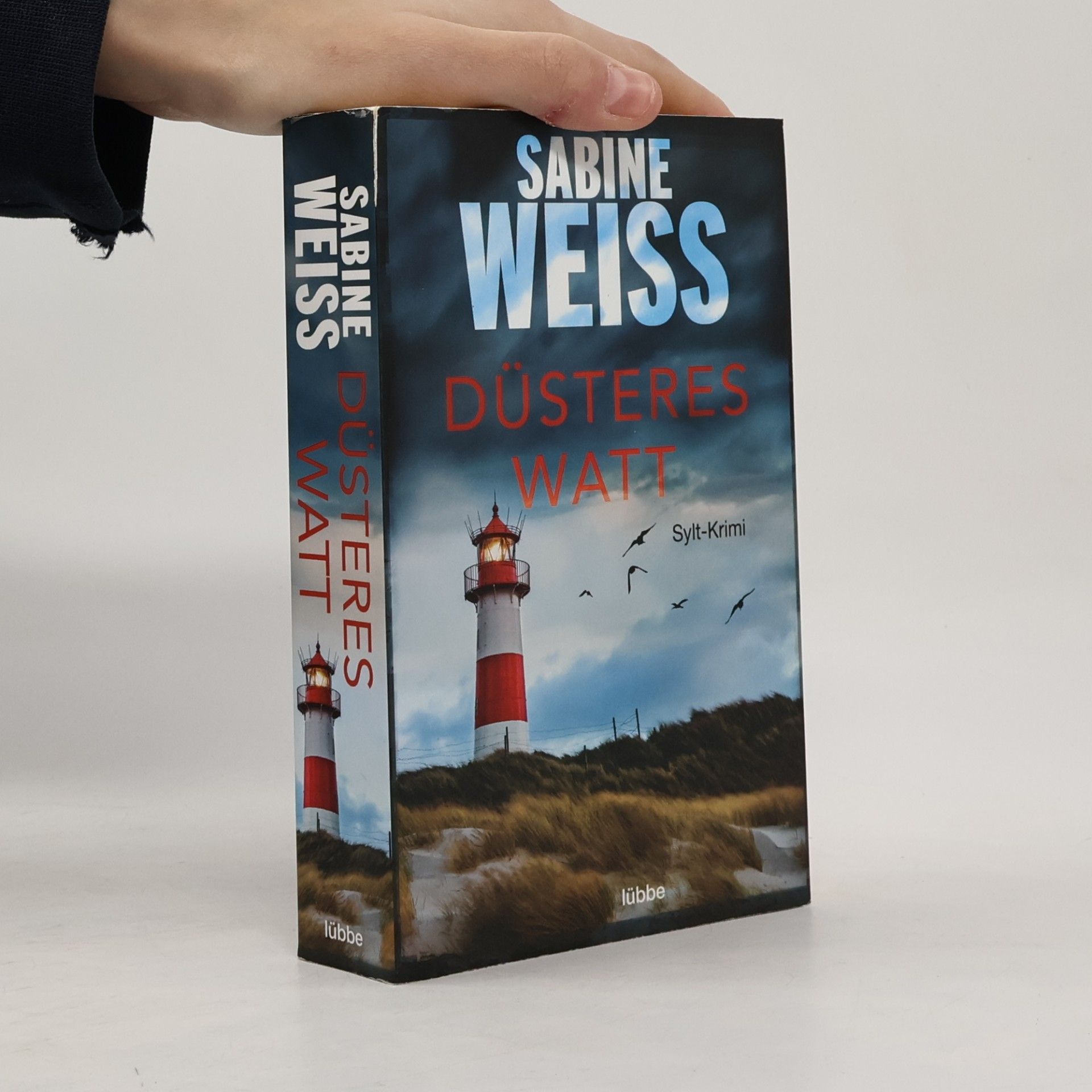 Sabine Weiß Düsteres Watt