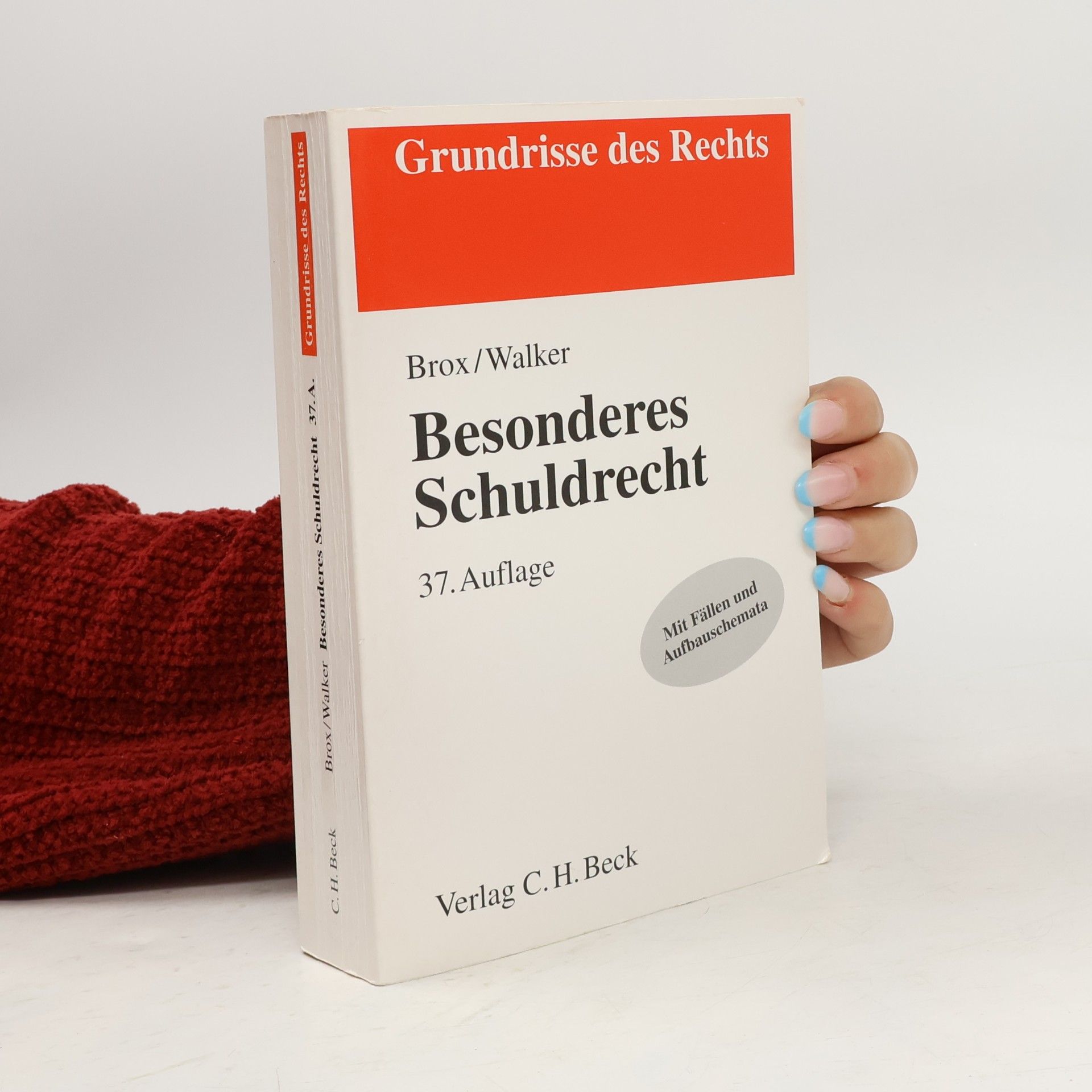 Grundrisse des Rechts: Besonderes Schuldrecht