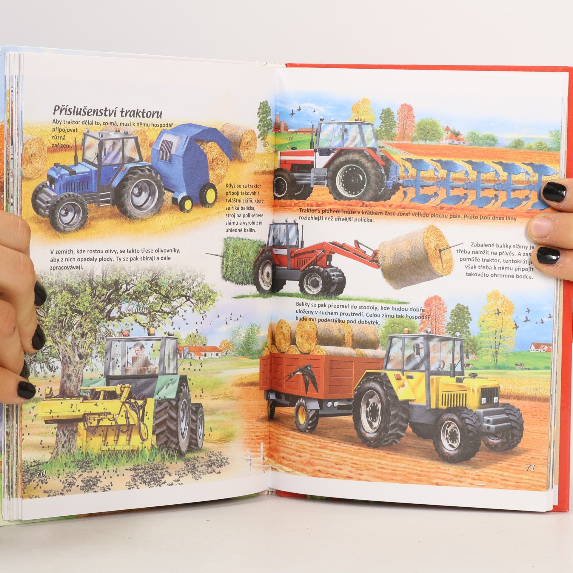 Autores varios Život na statku : ilustrovaná encyklopedie