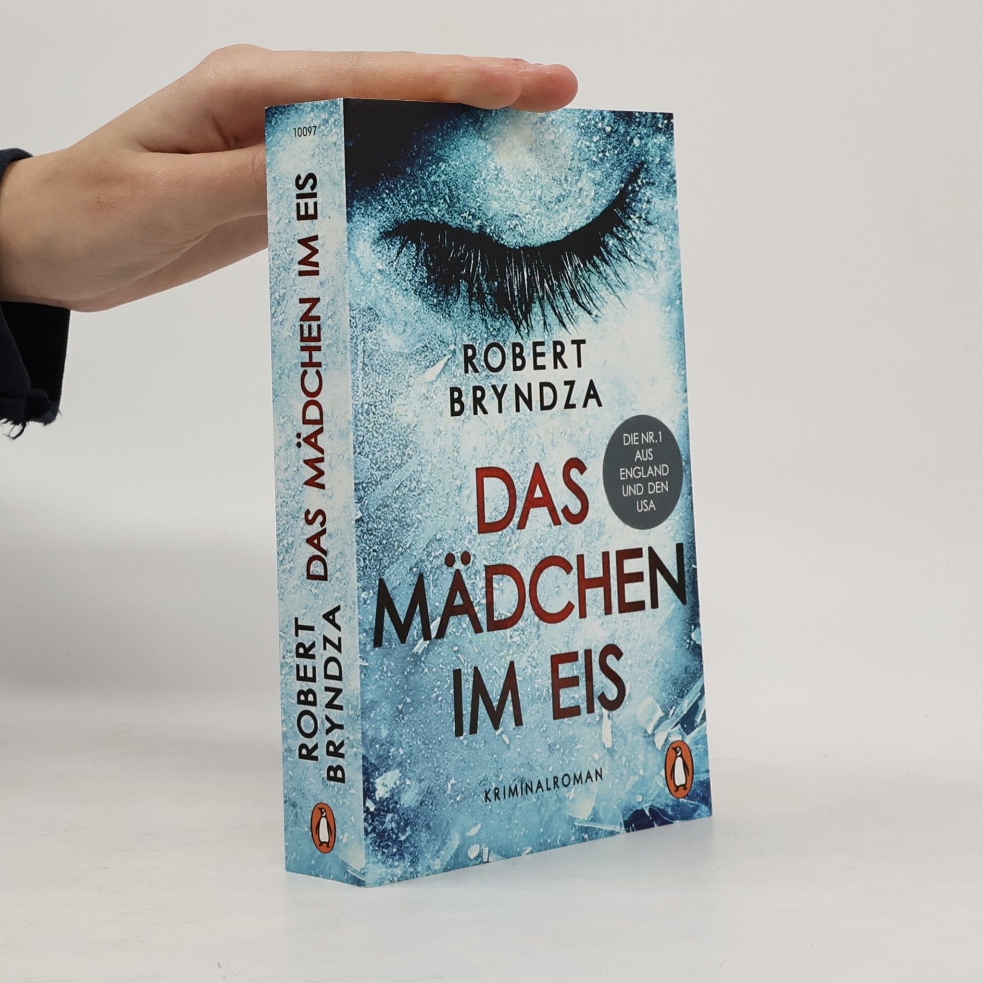 Das mädchen im eis