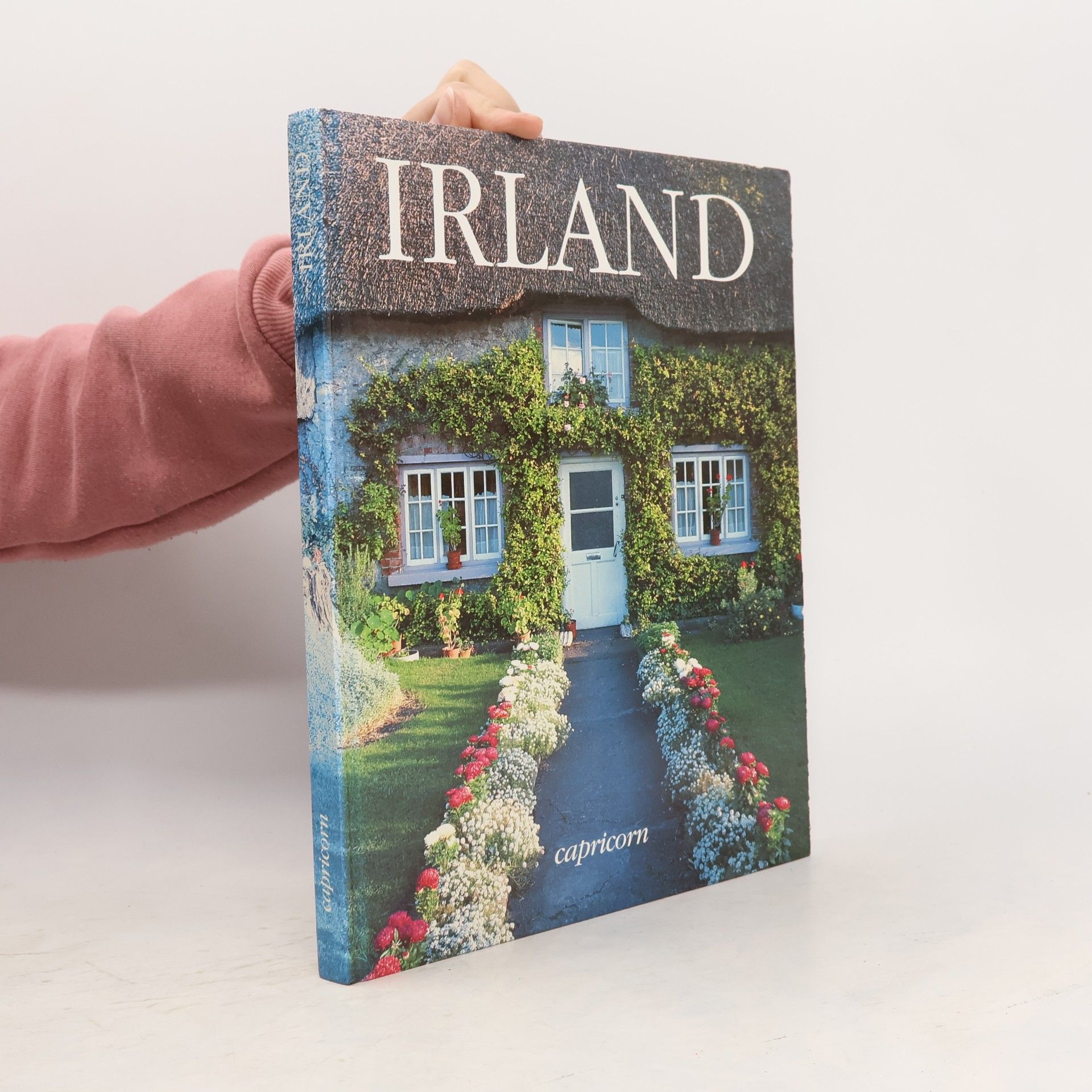 Autorenkollektiv Irland
