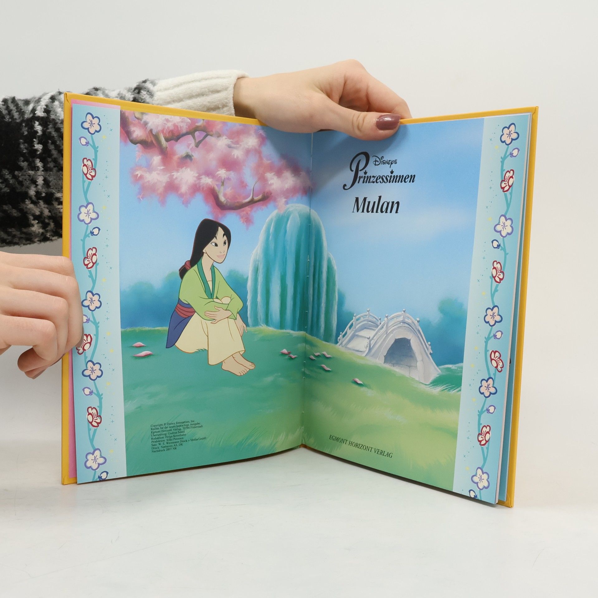 Autorenkollektiv Disneys Prinzessinnen. Mulan