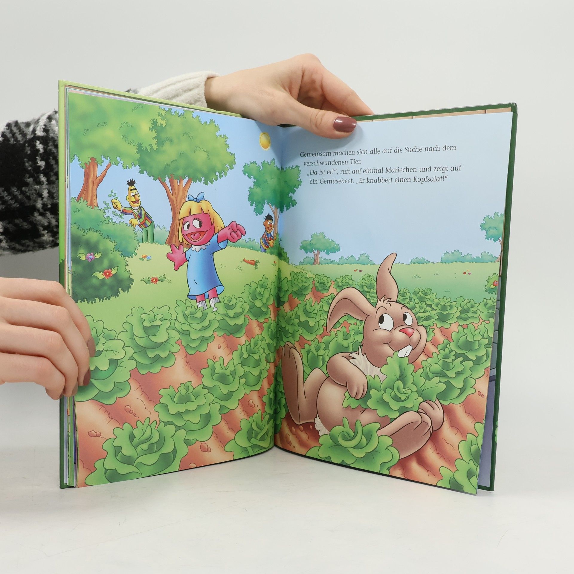 Autorenkollektiv Lulatsch und der Hase