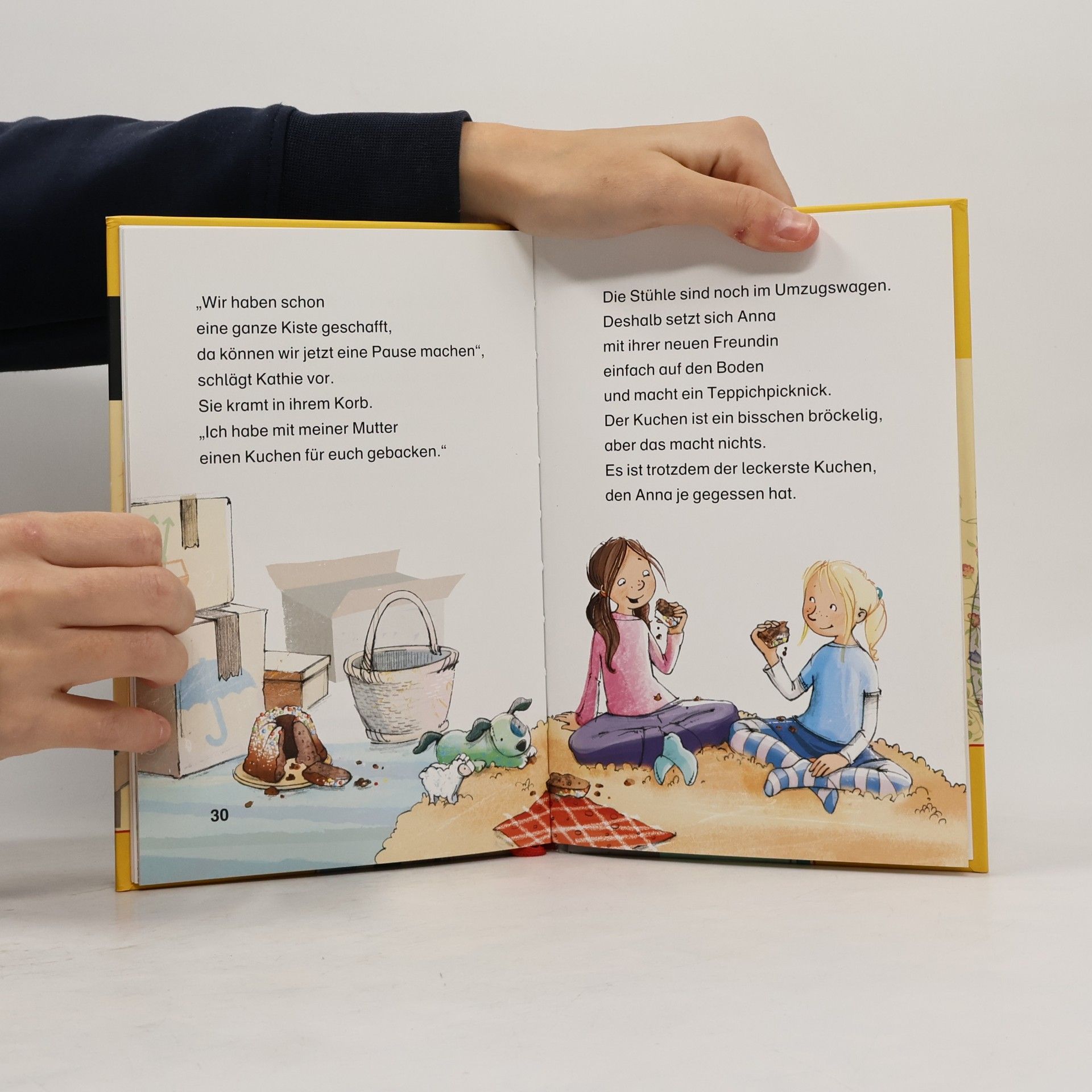 Luise Holthausen Lesedetektive - 2. Klasse: Picknick mal ganz anders