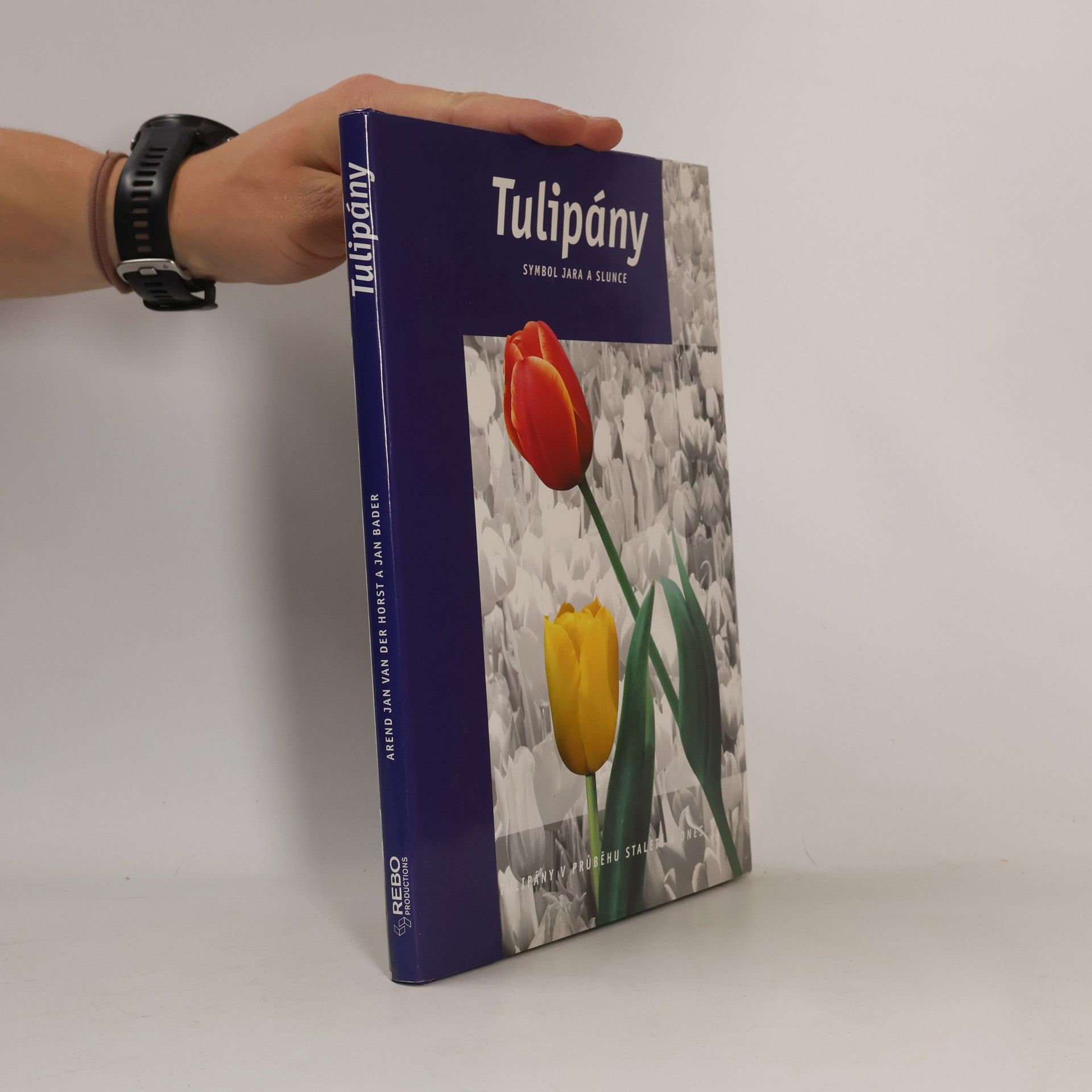 Tulipány