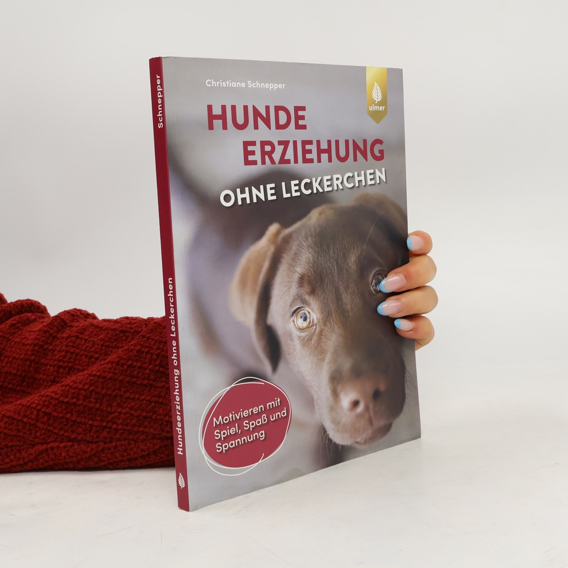 Hundeerziehung ohne Leckerchen