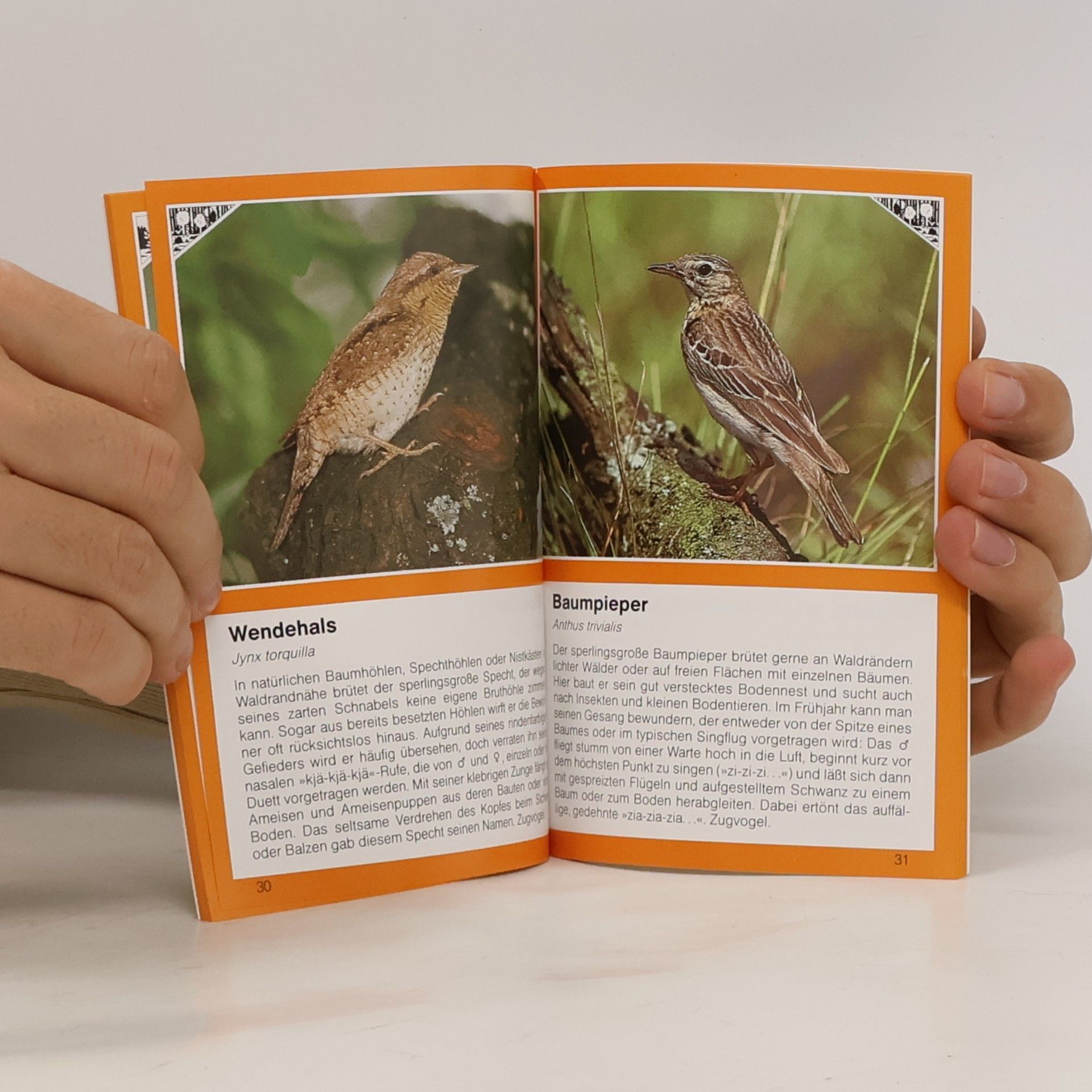 Konrad Wothe Vögel im Wald