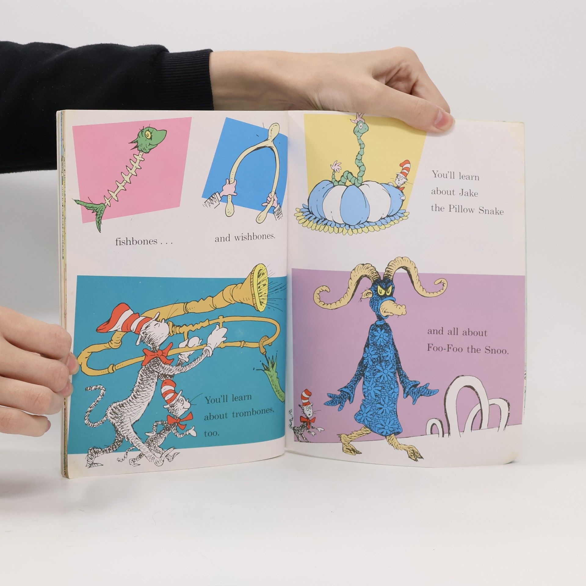 Dr. Seuss I Can Read with my Eyes Shut
