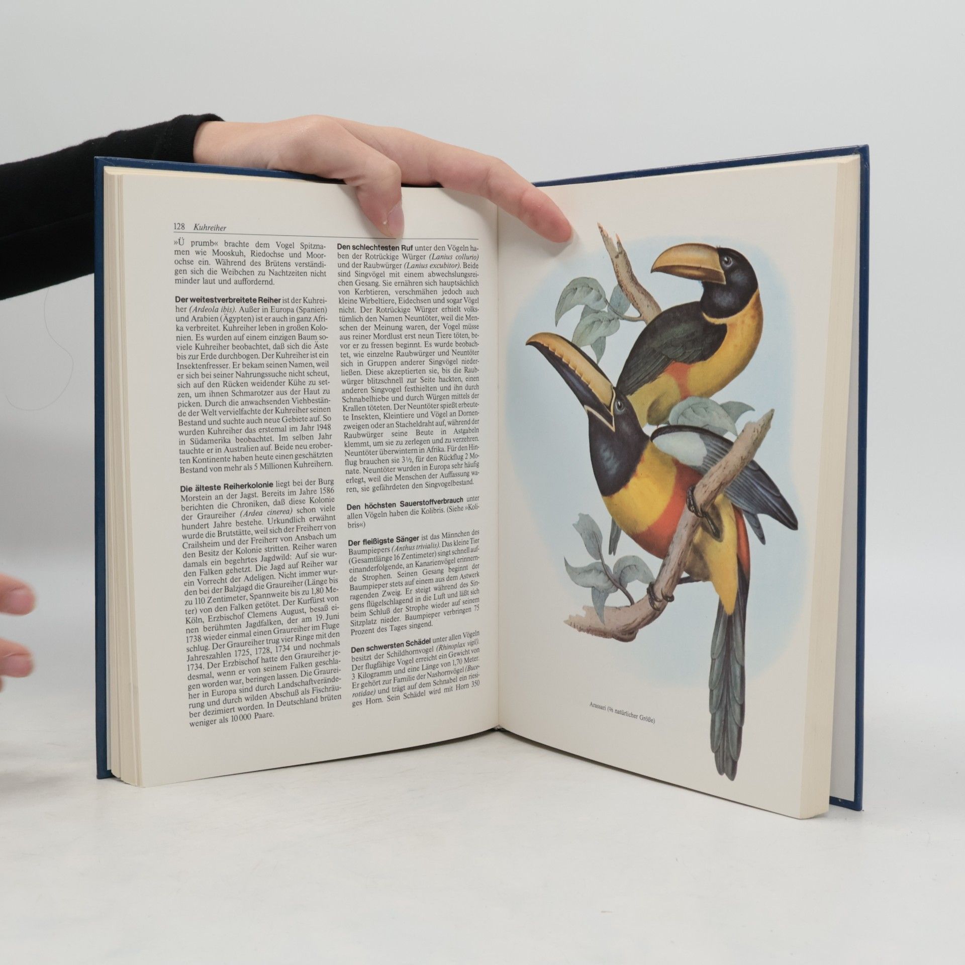 Daniel Mann Superlative der Tierwelt