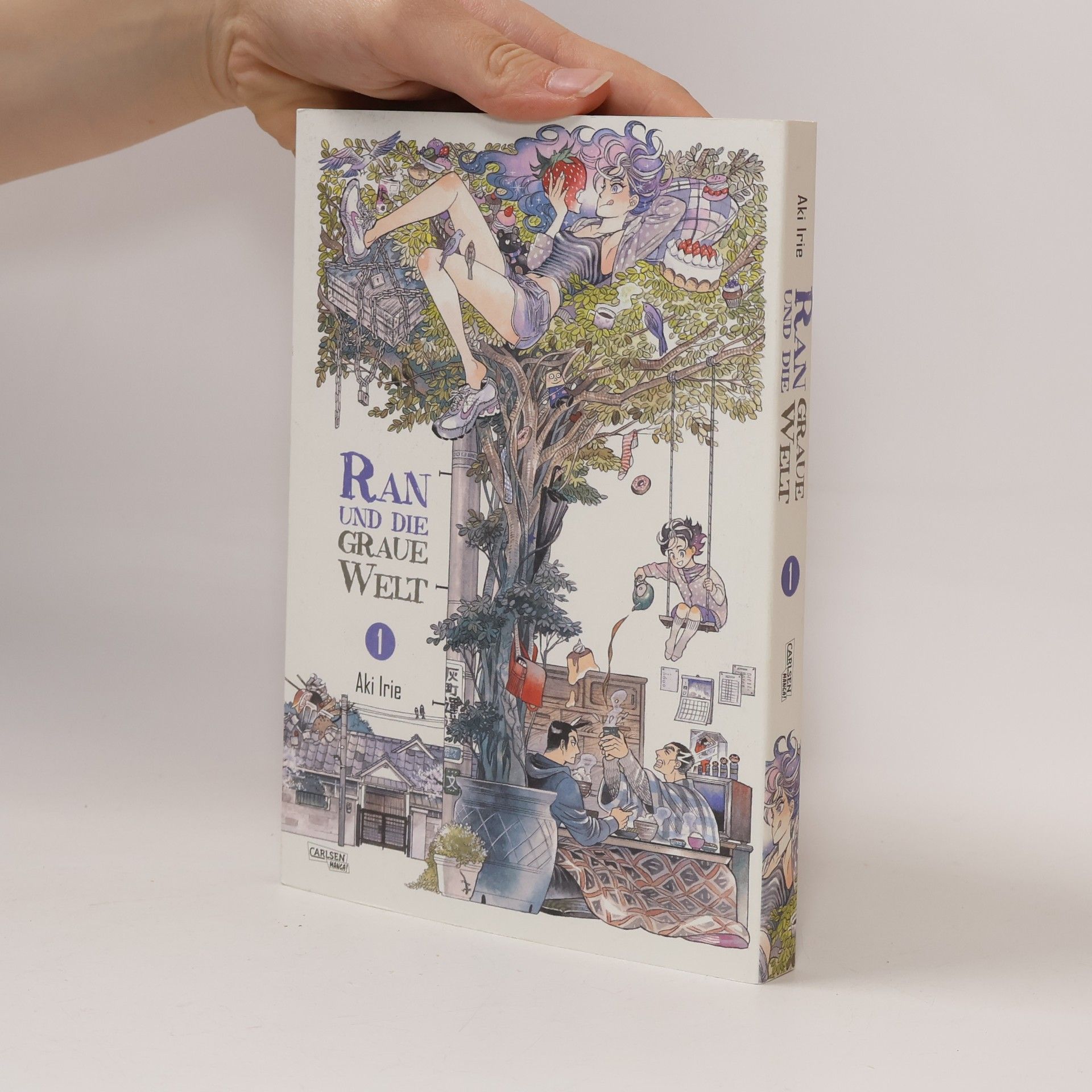 Aki Irie Ran und die graue Welt 1