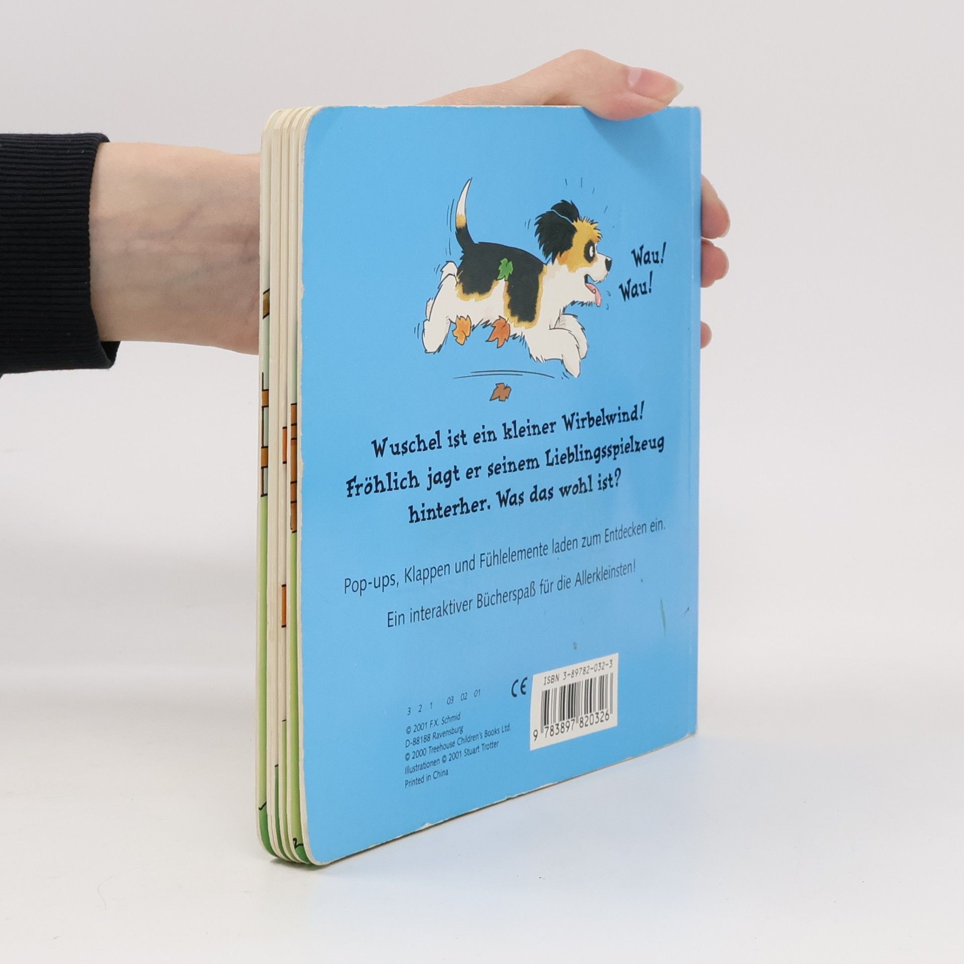 Was macht der kleine Hund?