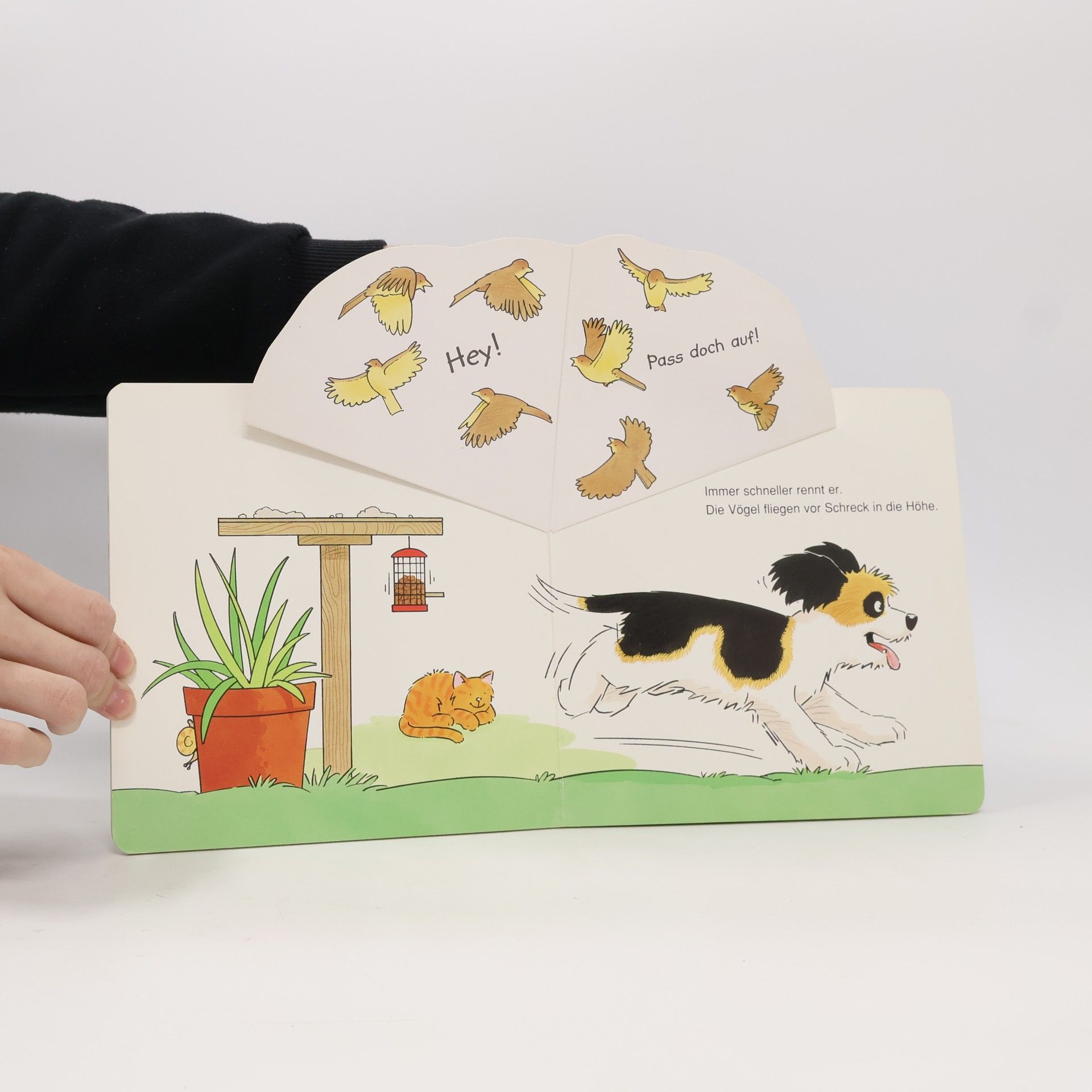 Was macht der kleine Hund?