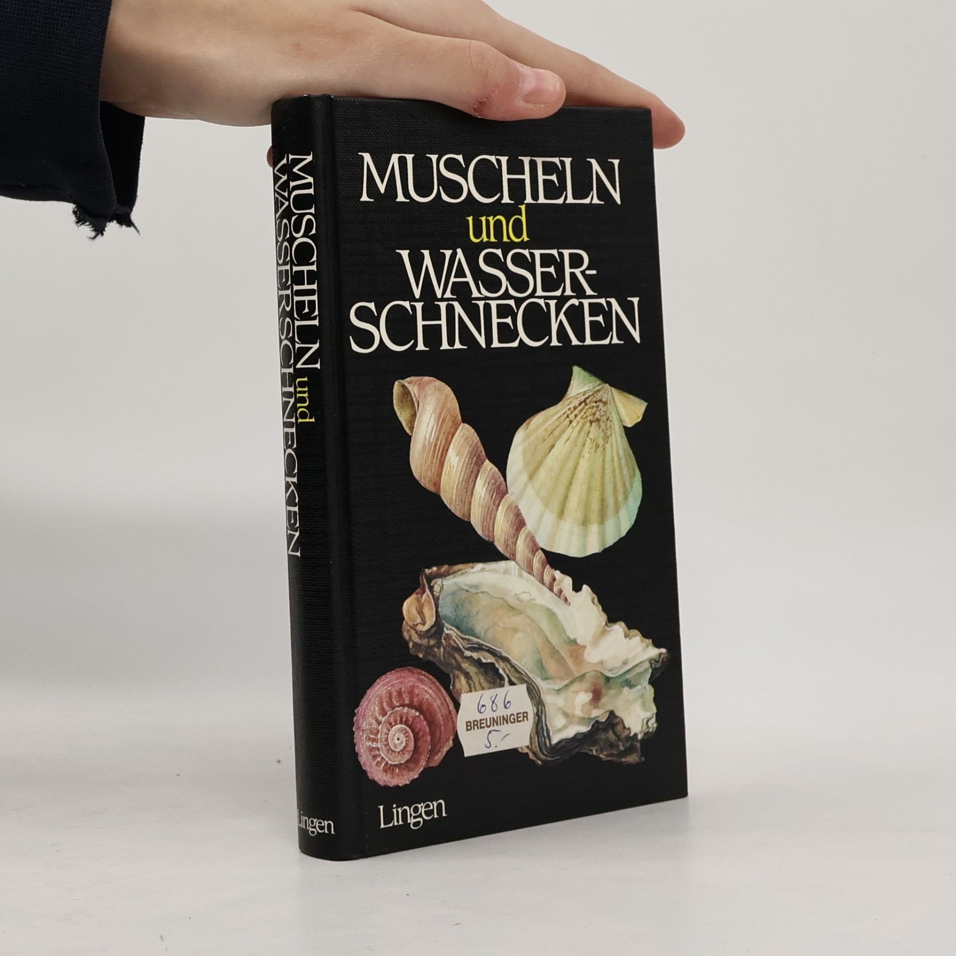 Muscheln und Wasserschnecken