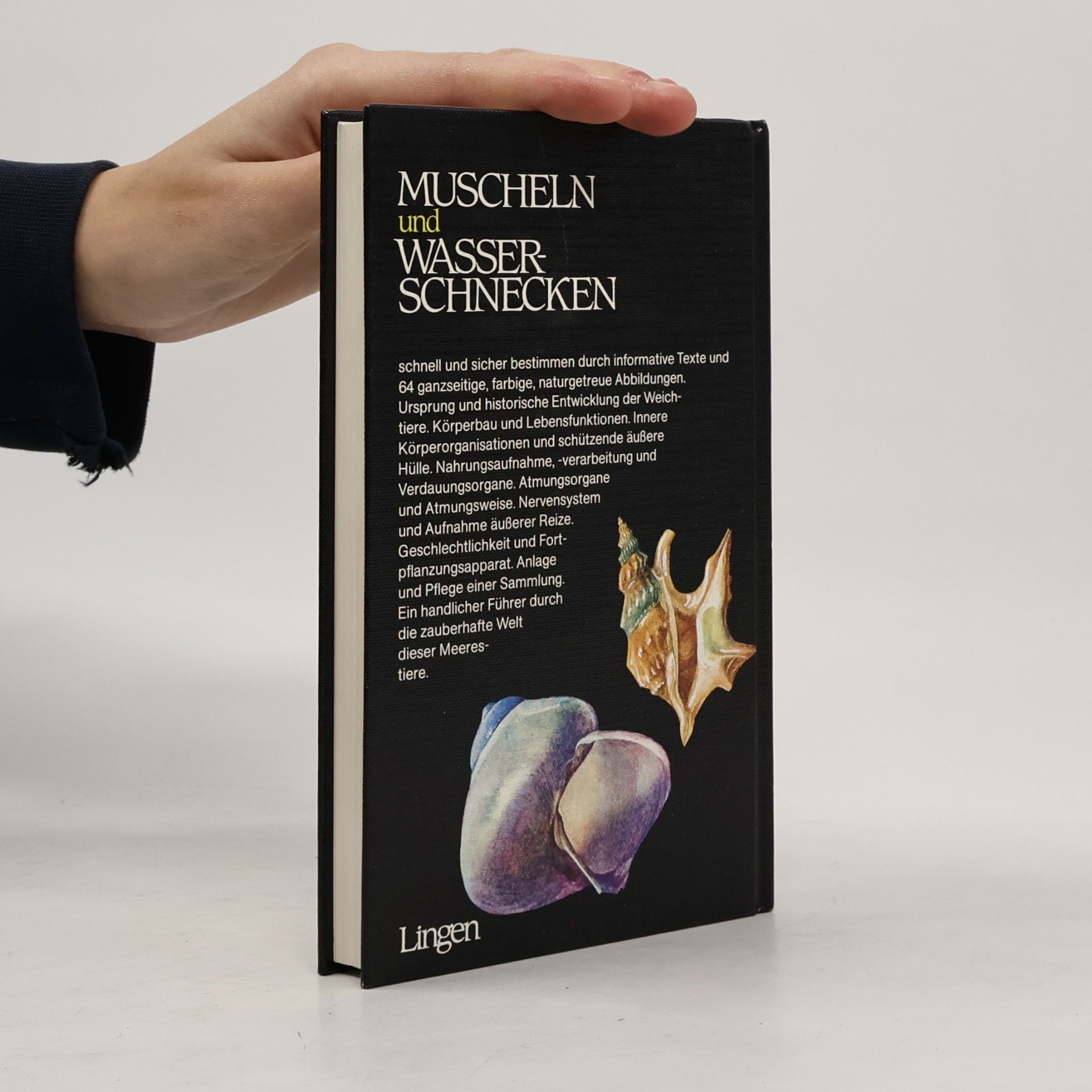 Jan Lellák Muscheln und Wasserschnecken