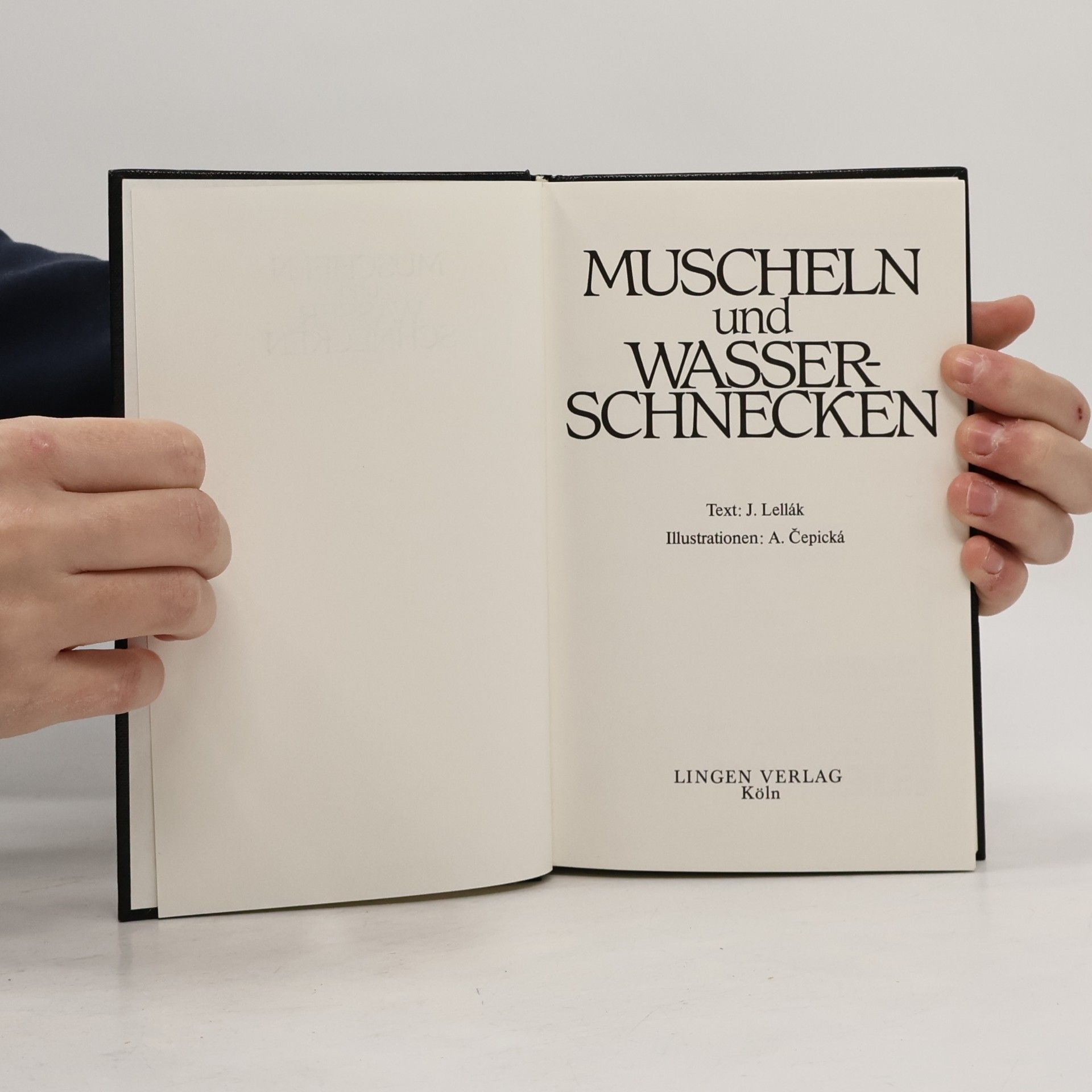 Jan Lellák Muscheln und Wasserschnecken