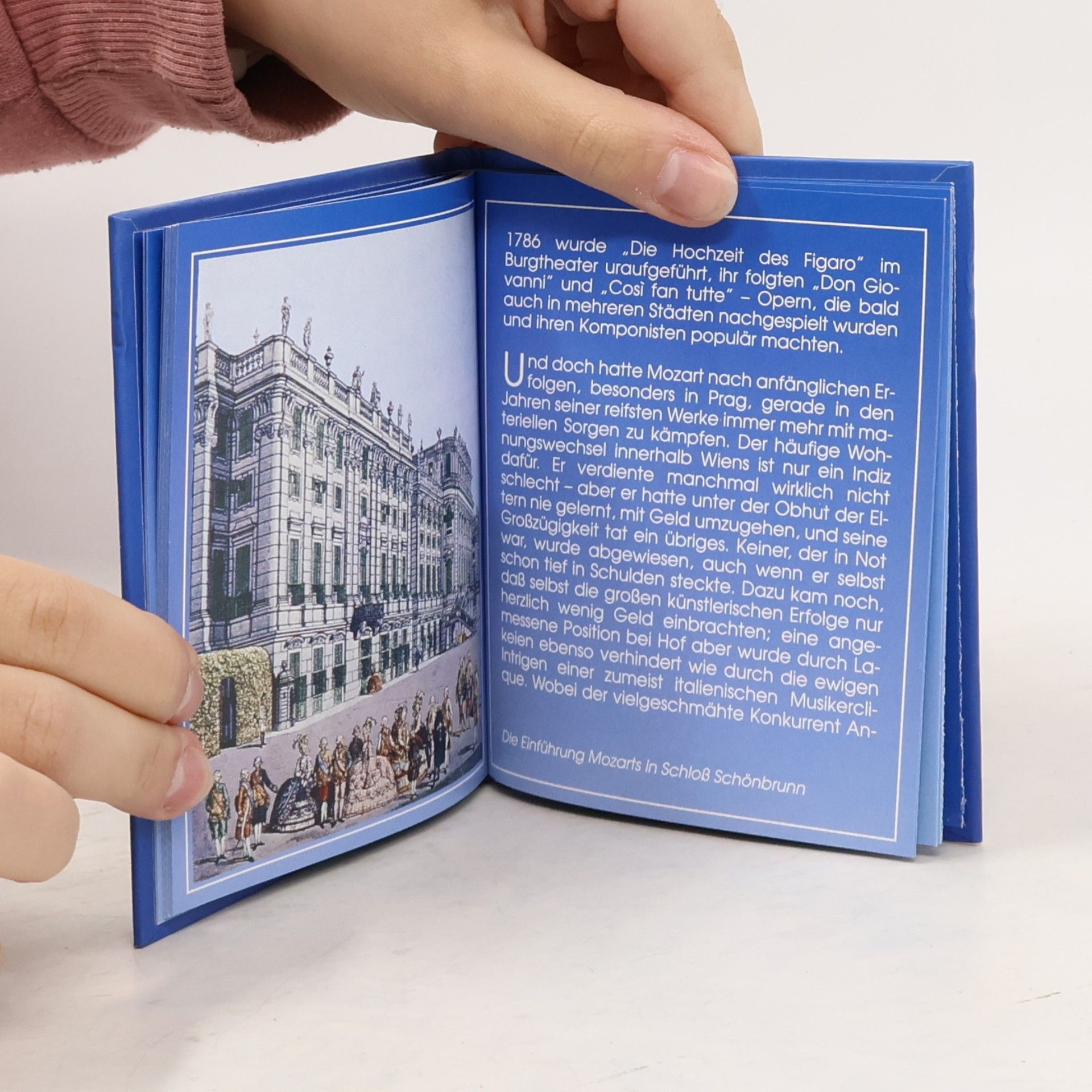 Various authors Mozart. Sein Leben