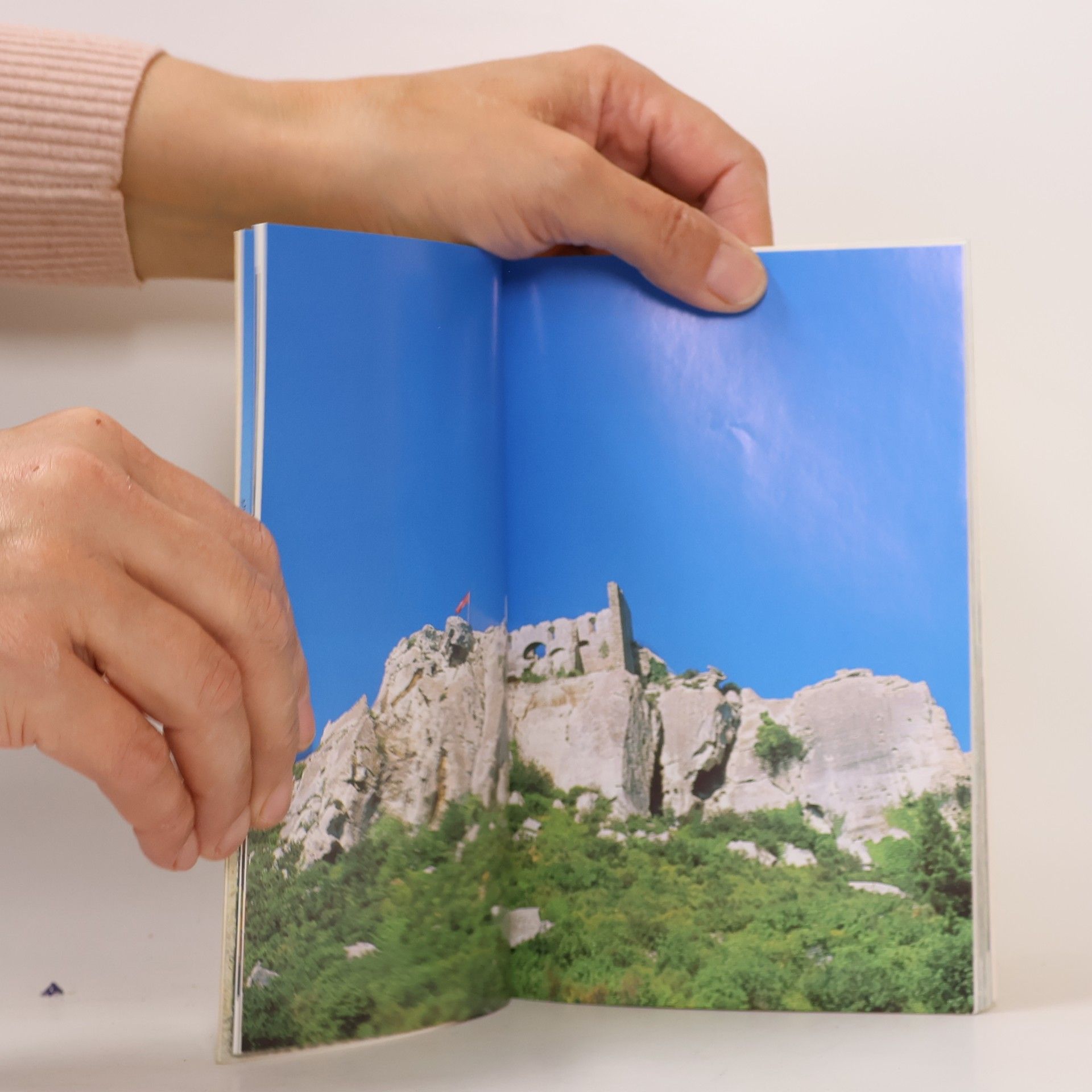 Dominique Compans Gisserot - Food & Wine: Recipes From Provence And Nice