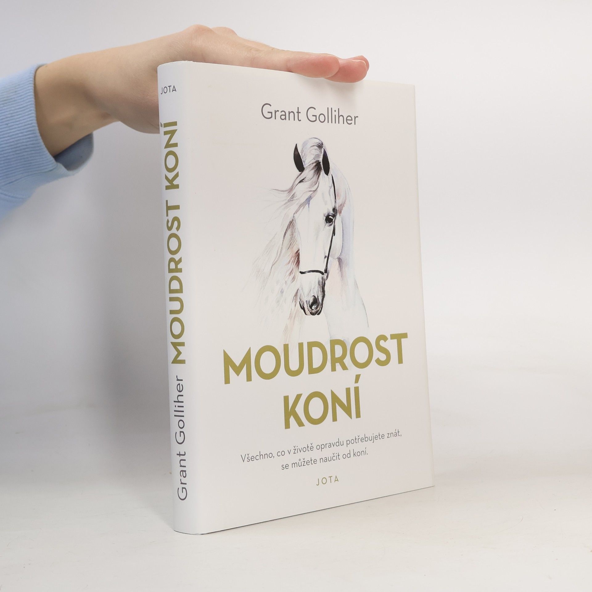 Moudrost koní