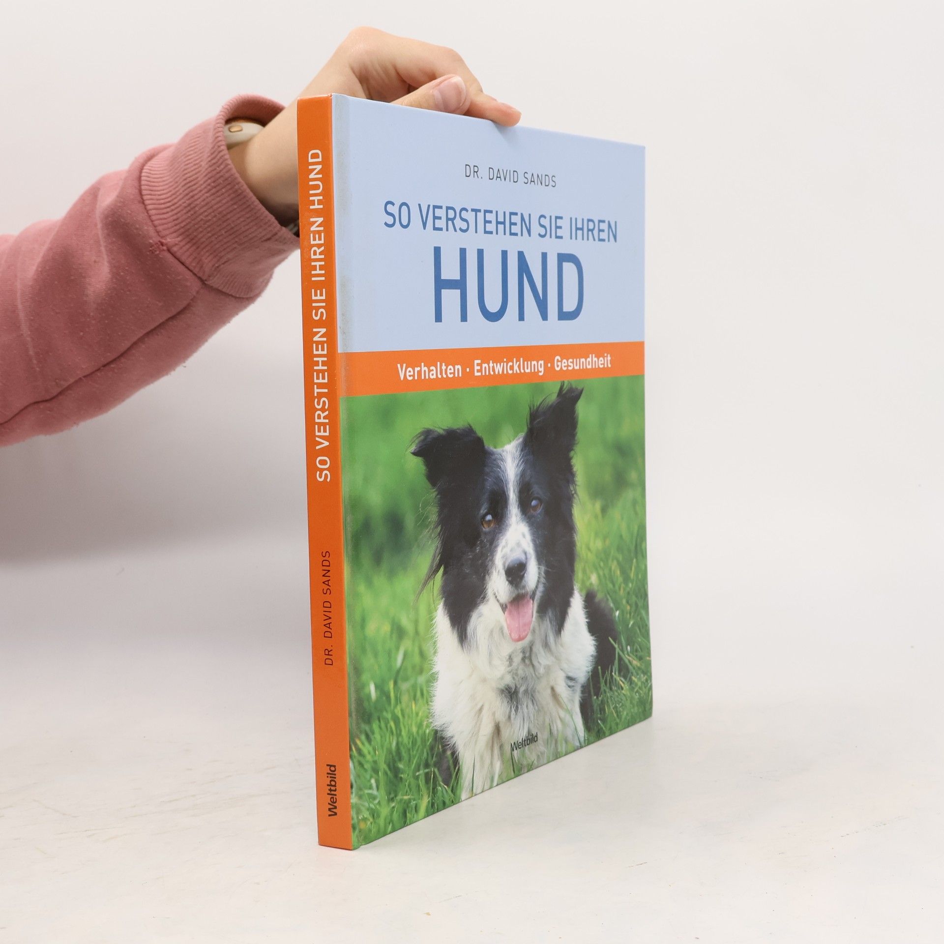 So verstehen Sie Ihren Hund