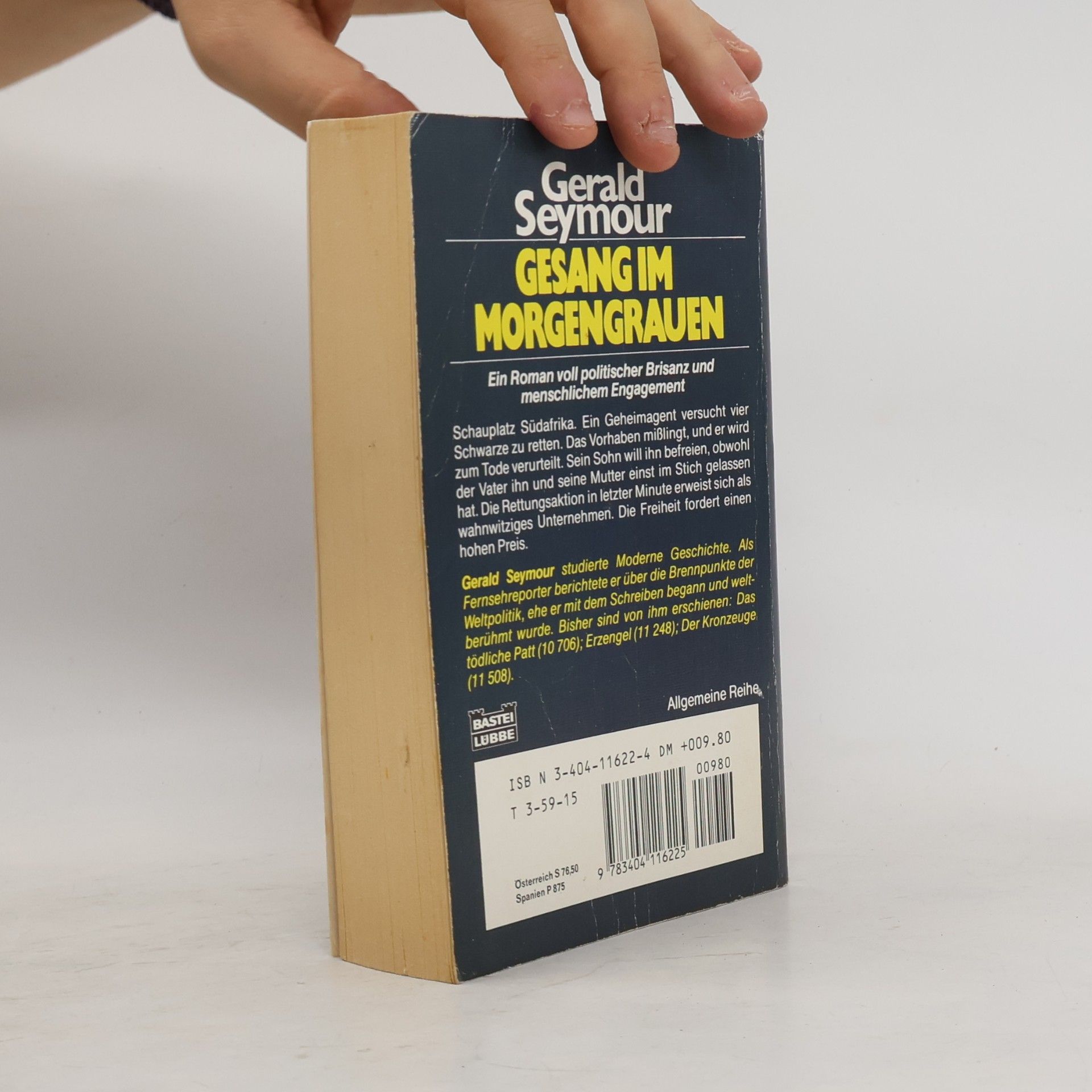 Gerald Seymour Gesang im Morgengrauen