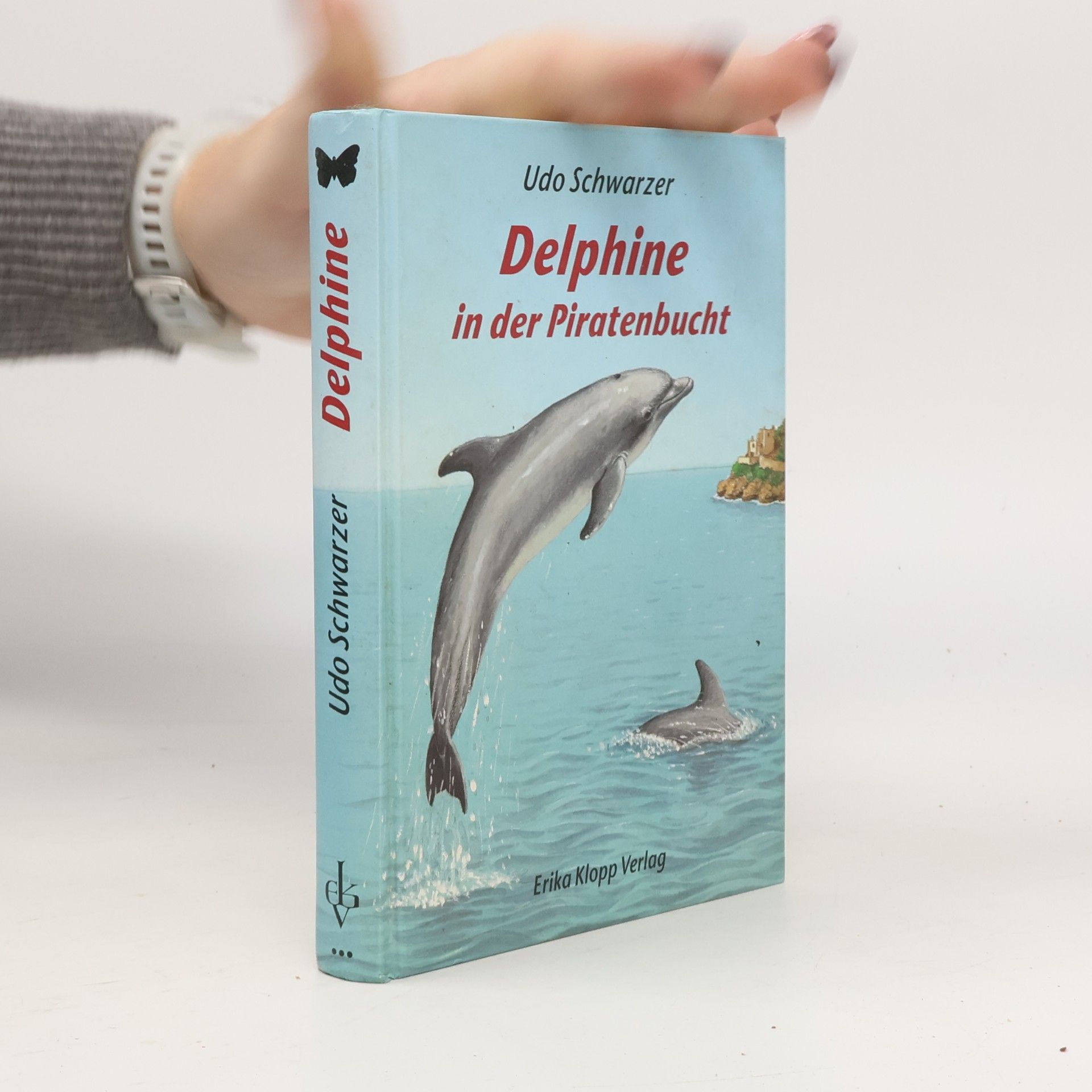 Delphine in der Piratenbucht
