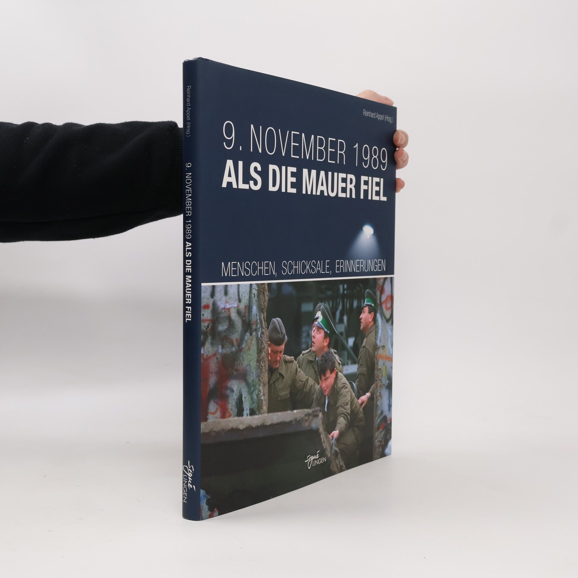 Als die Mauer fiel