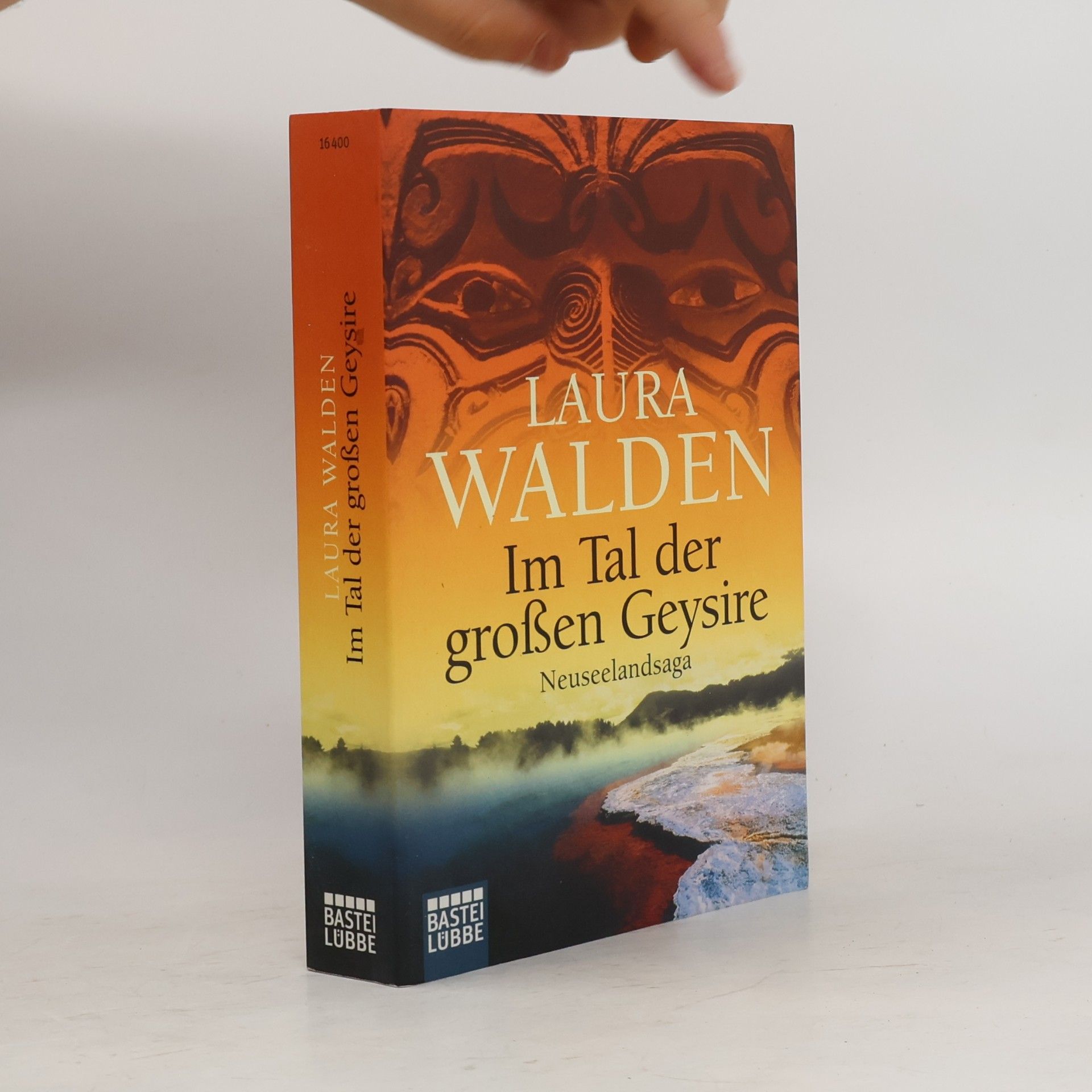 Im Tal der großen Geysire