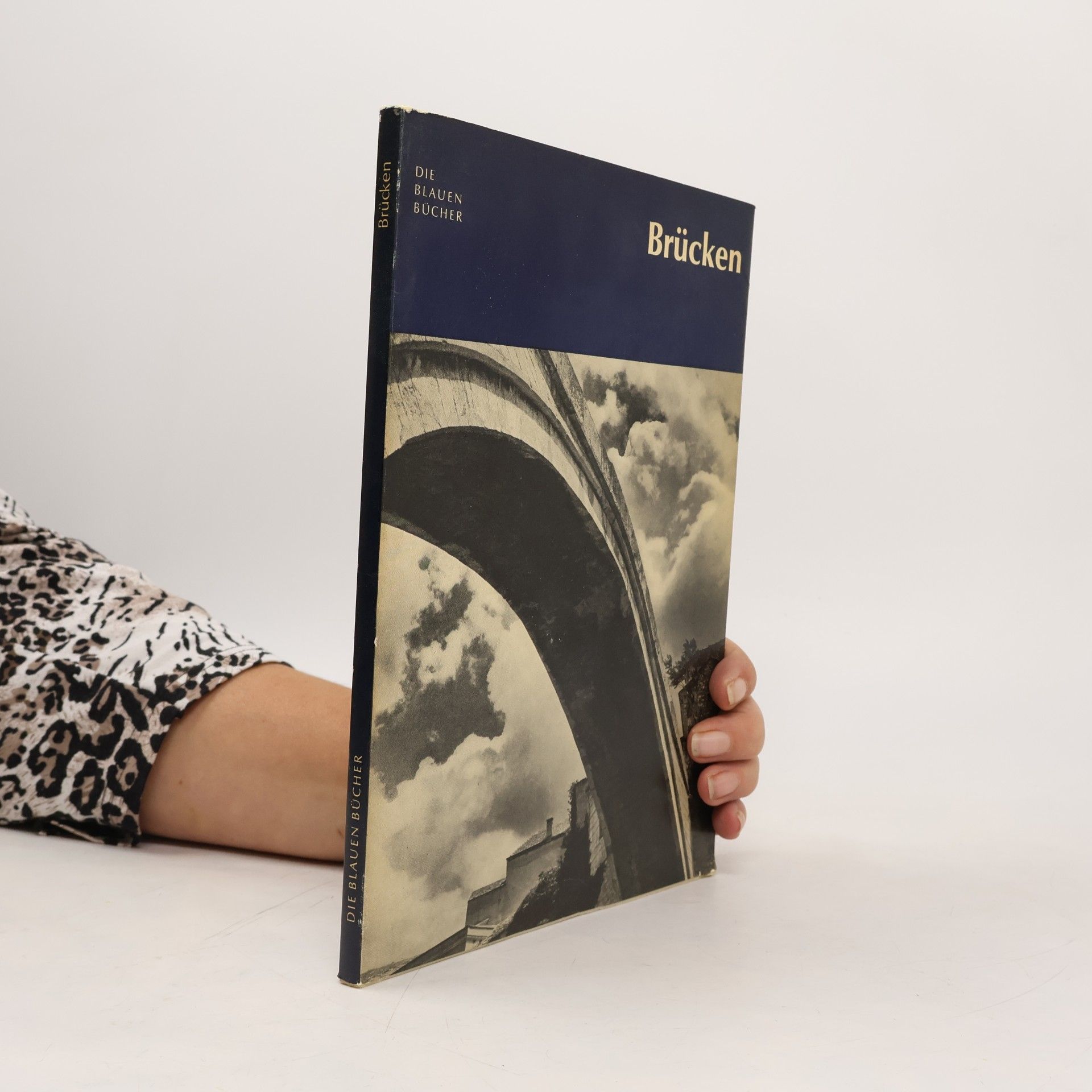 Kolektiv autorů Brücken. Die Blauen Bücher