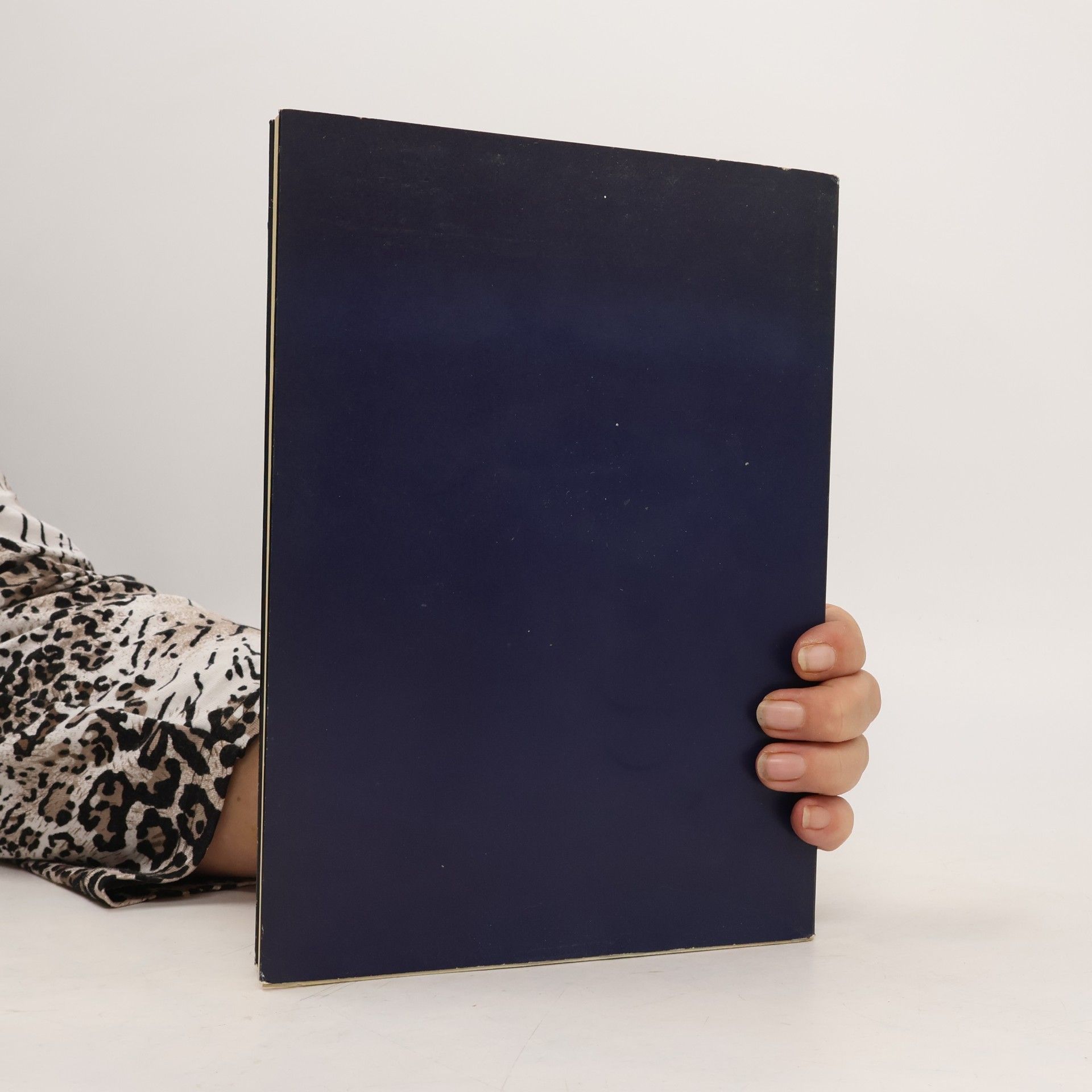 Kolektiv autorů Brücken. Die Blauen Bücher