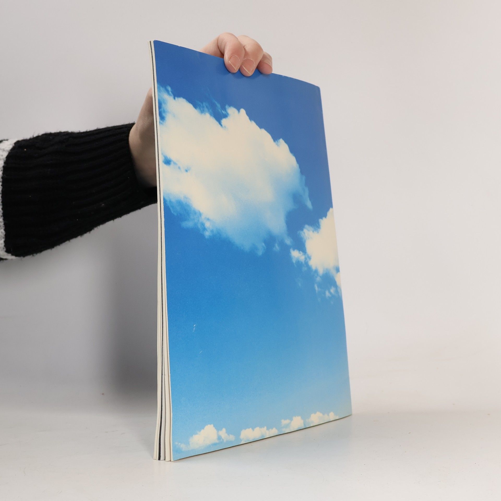 Dieter Kohn Aral Journal