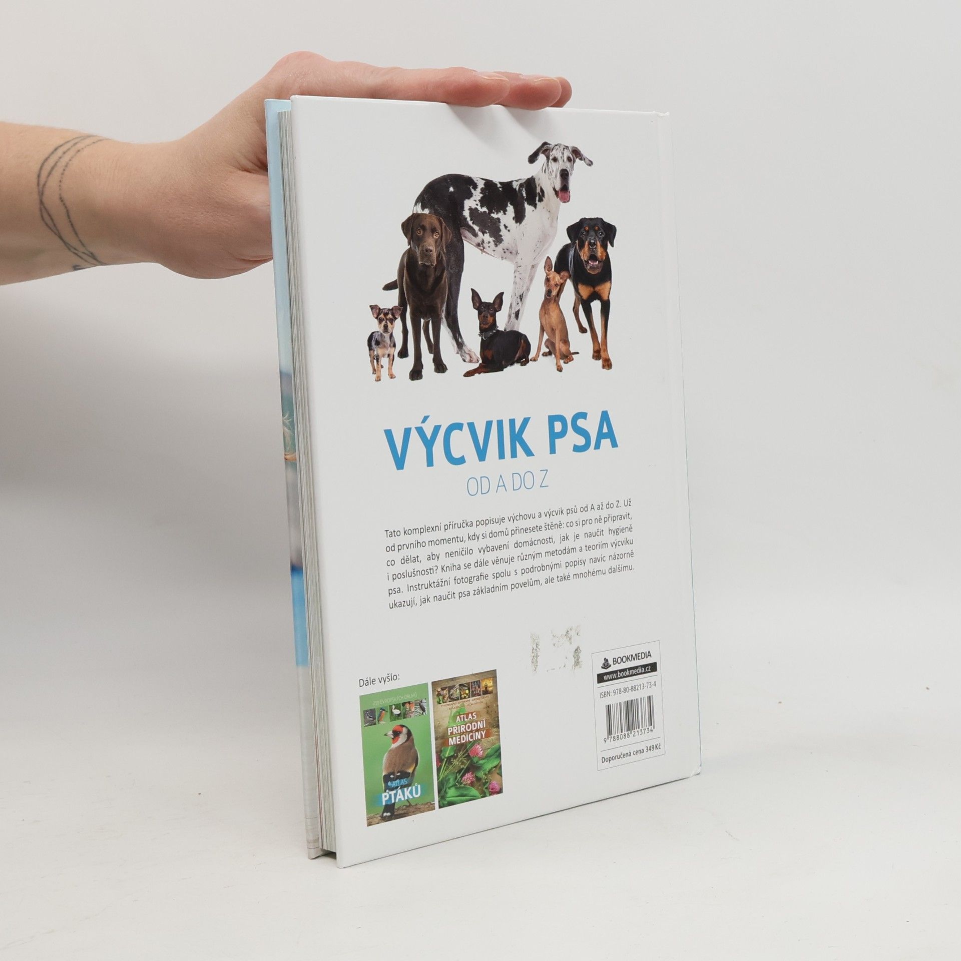 Anna Biziorek Výcvik psa od A do Z
