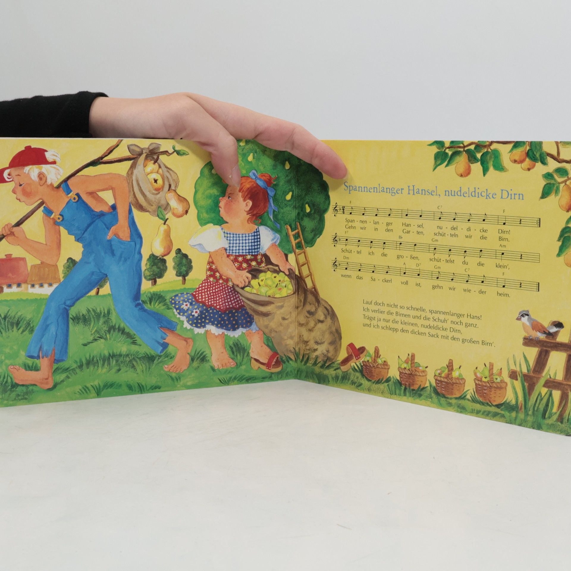Kolektiv autorů Meine liebsten Kinderlieder
