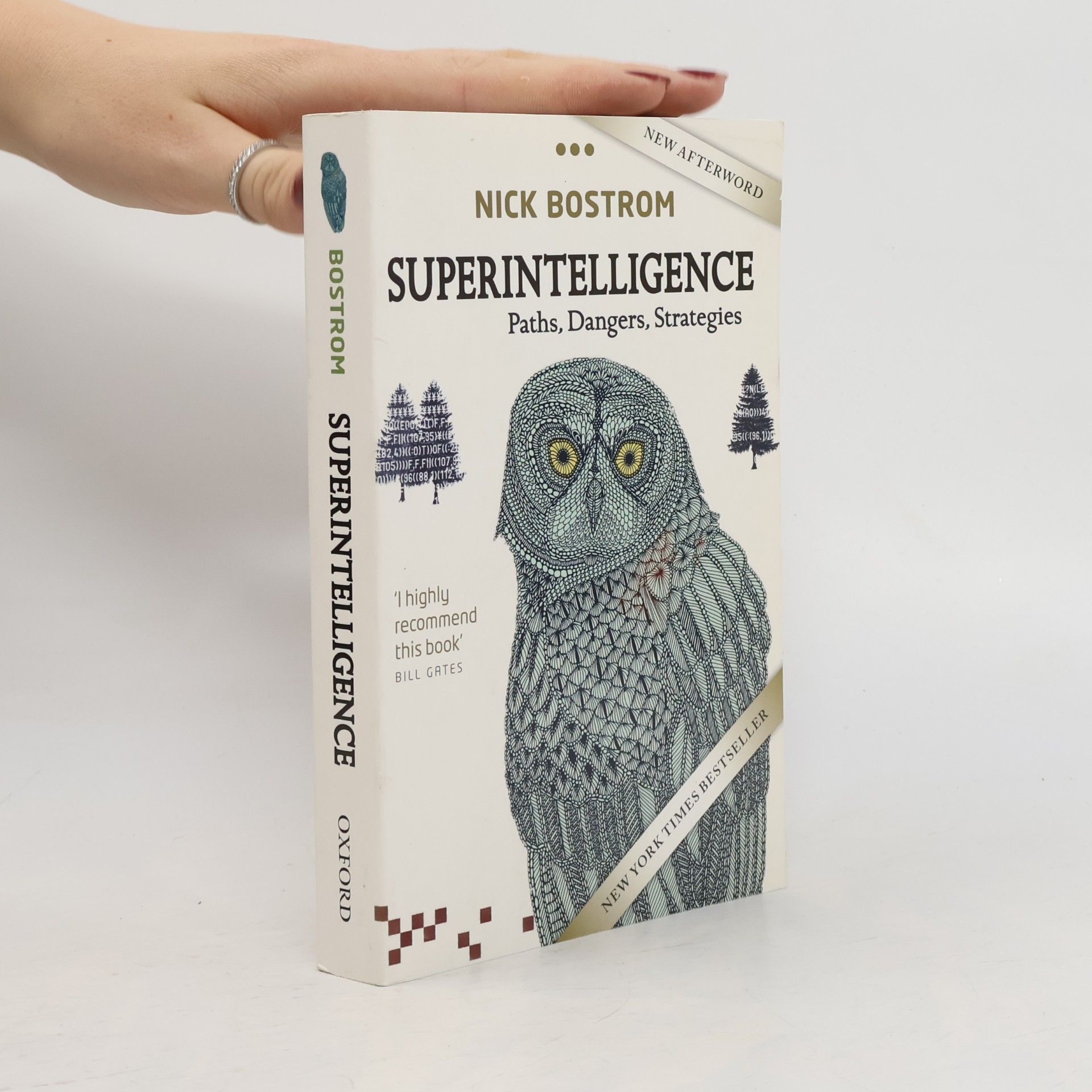 Nick Bostrom Superintelligence