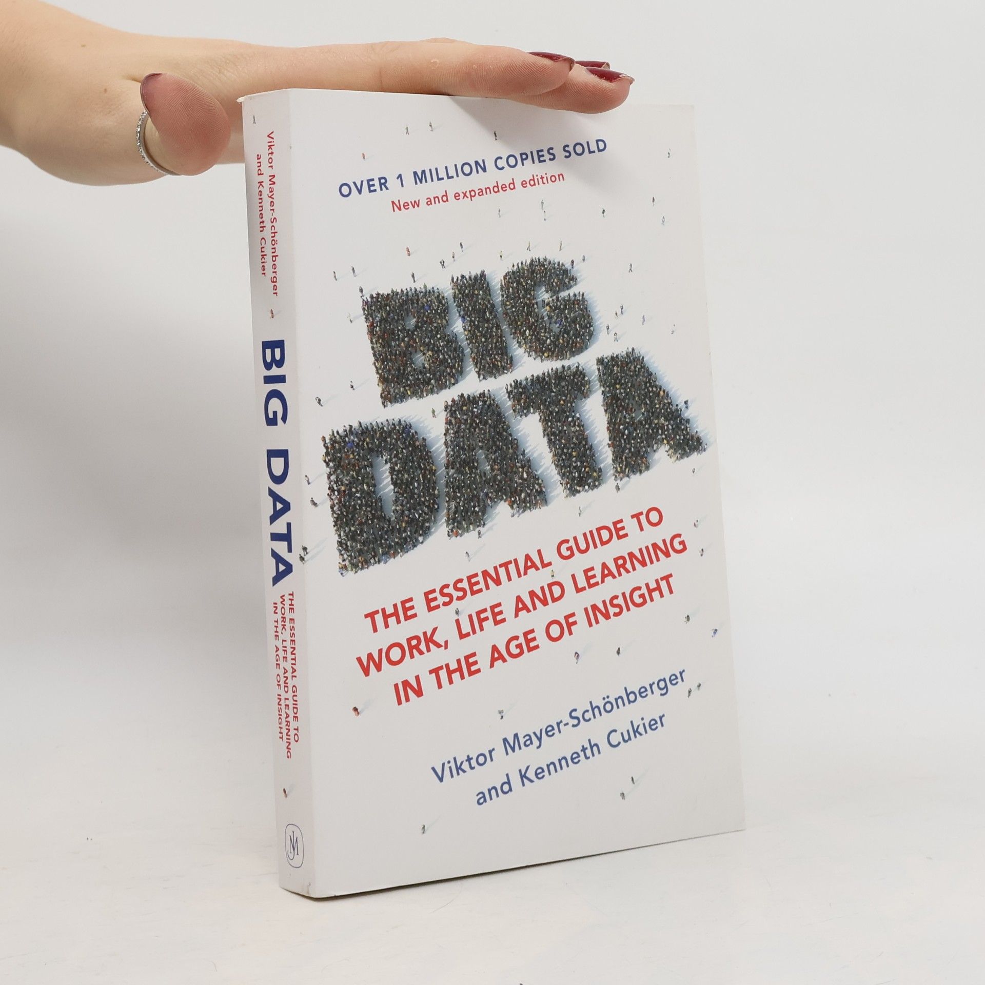 Big data : the essential guide to work, life and learning in the age of insight