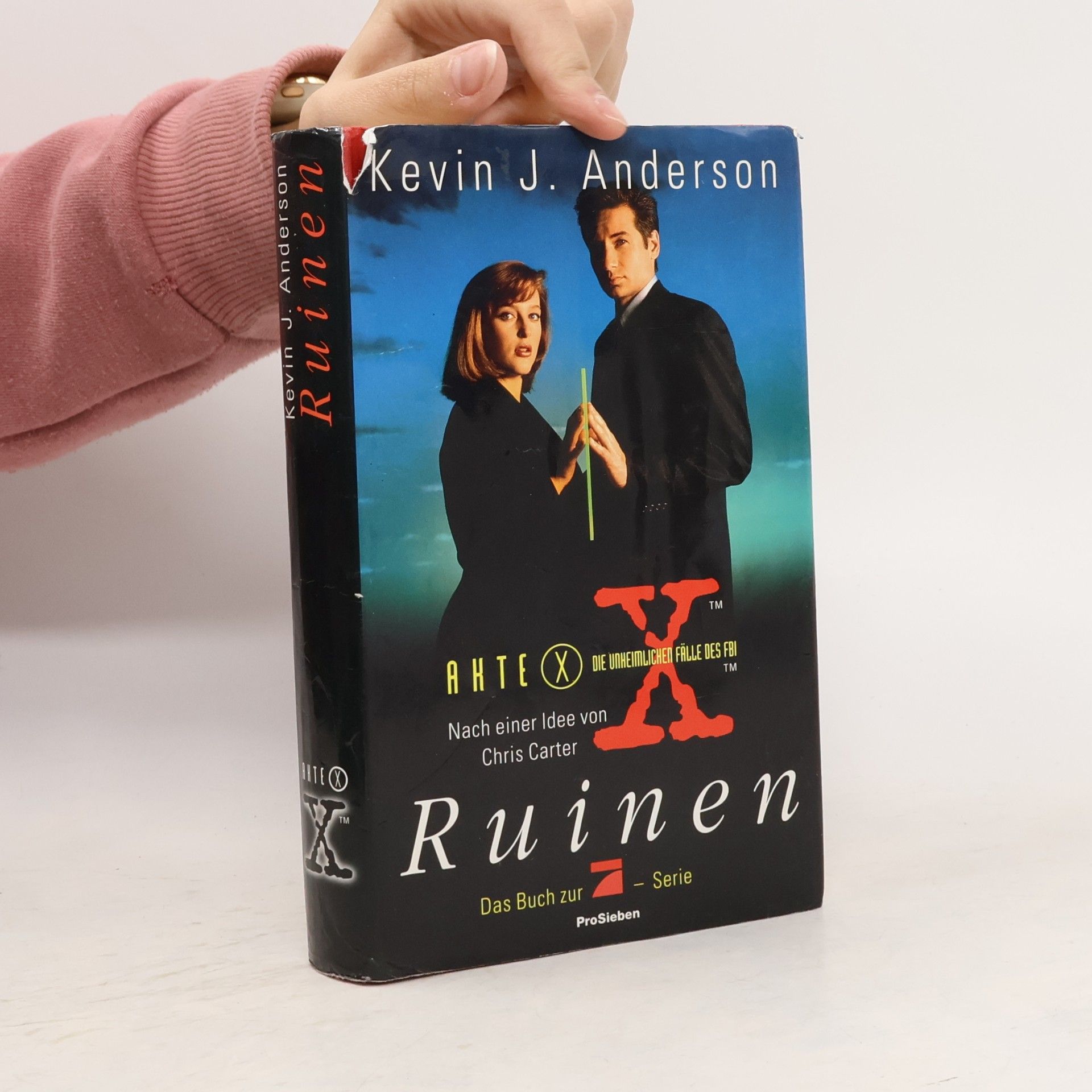 Kevin J. Anderson Ruinen