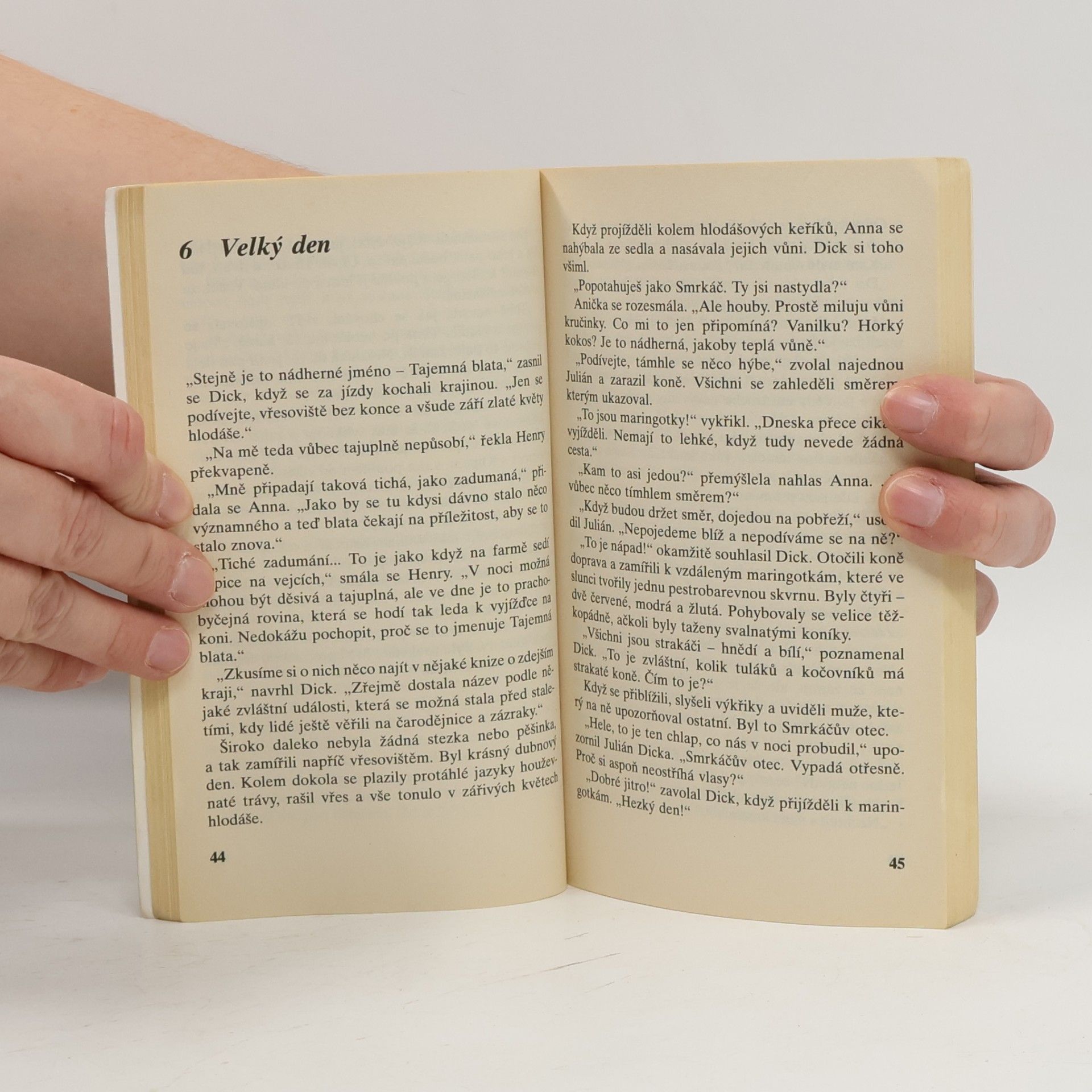 Enid Blyton Správná pětka: Pětka na Tajemných blatech