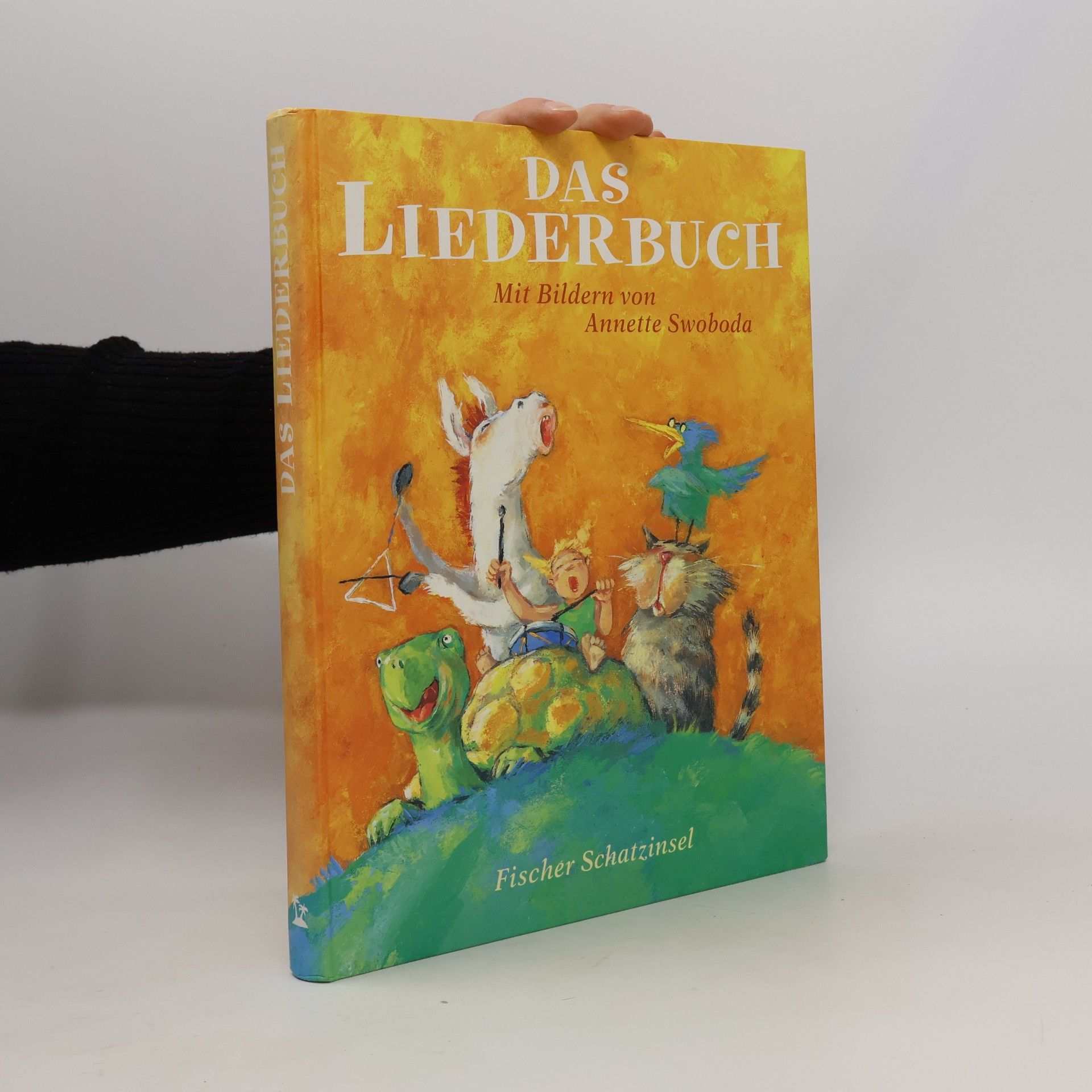 Catrin Frischer Das Liederbuch