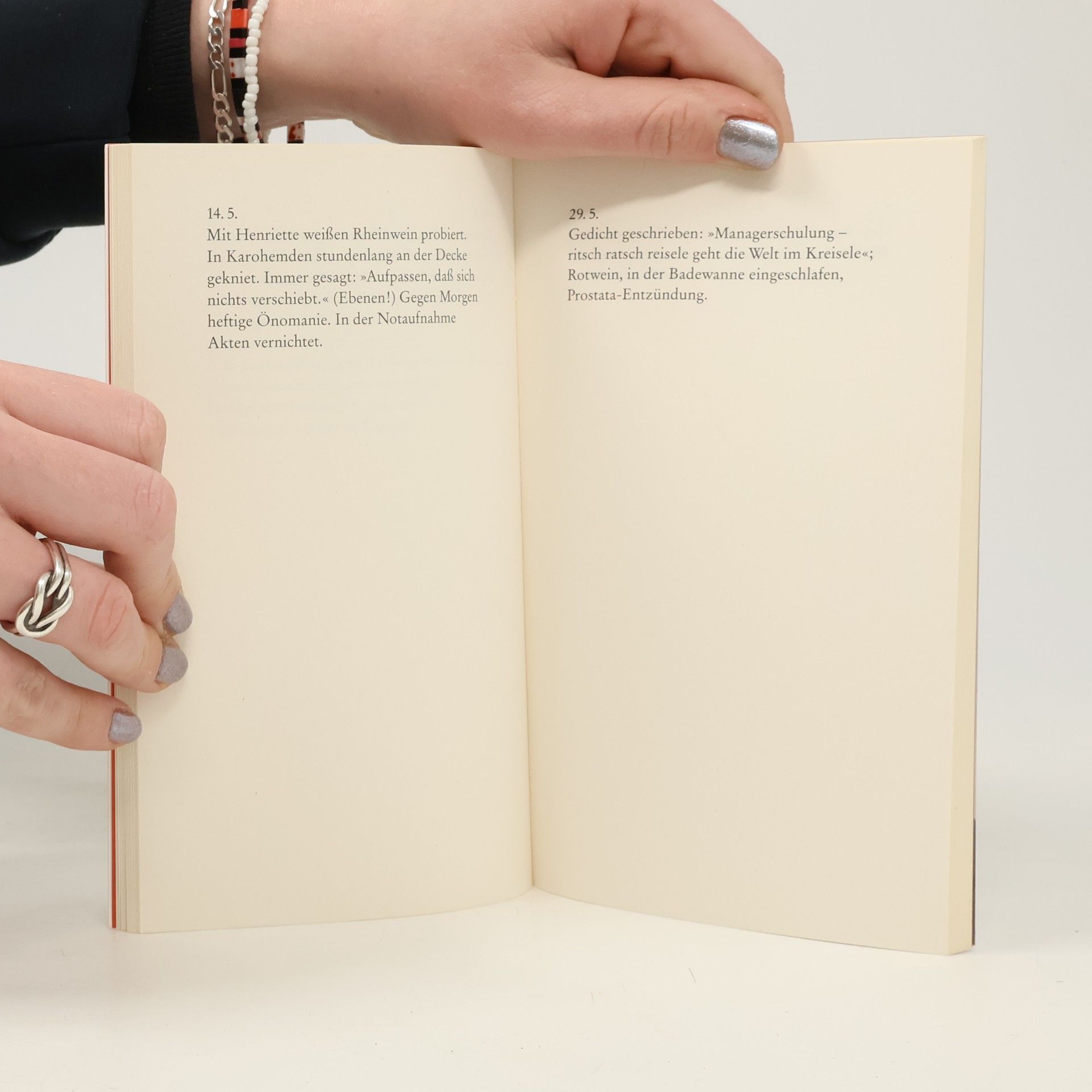 Eugen Egner Aus dem Tagebuch eines Trinkers. Das letzte Jahr