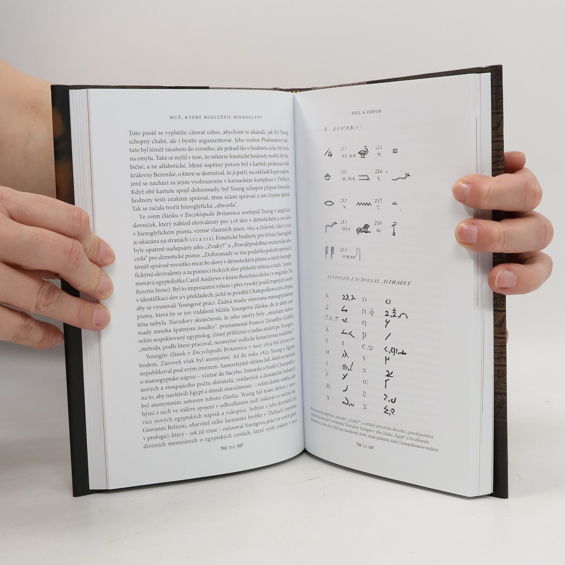 Andrew Robinson Muž, který rozluštil hieroglyfy