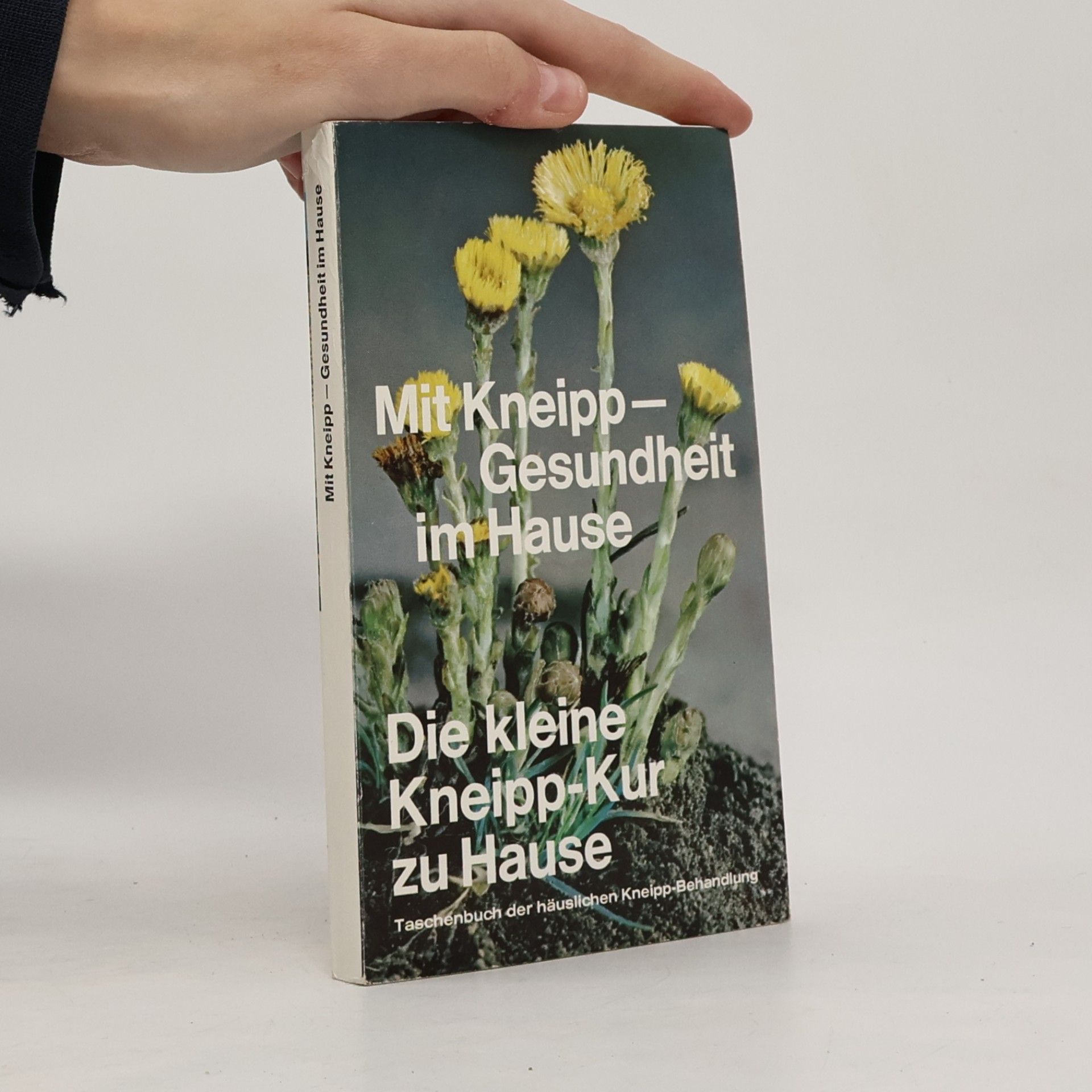 W Brüggemann   Mit Kneipp - Gesundheit im Hause. Die kleine Kneipp-Kur zu Hause
