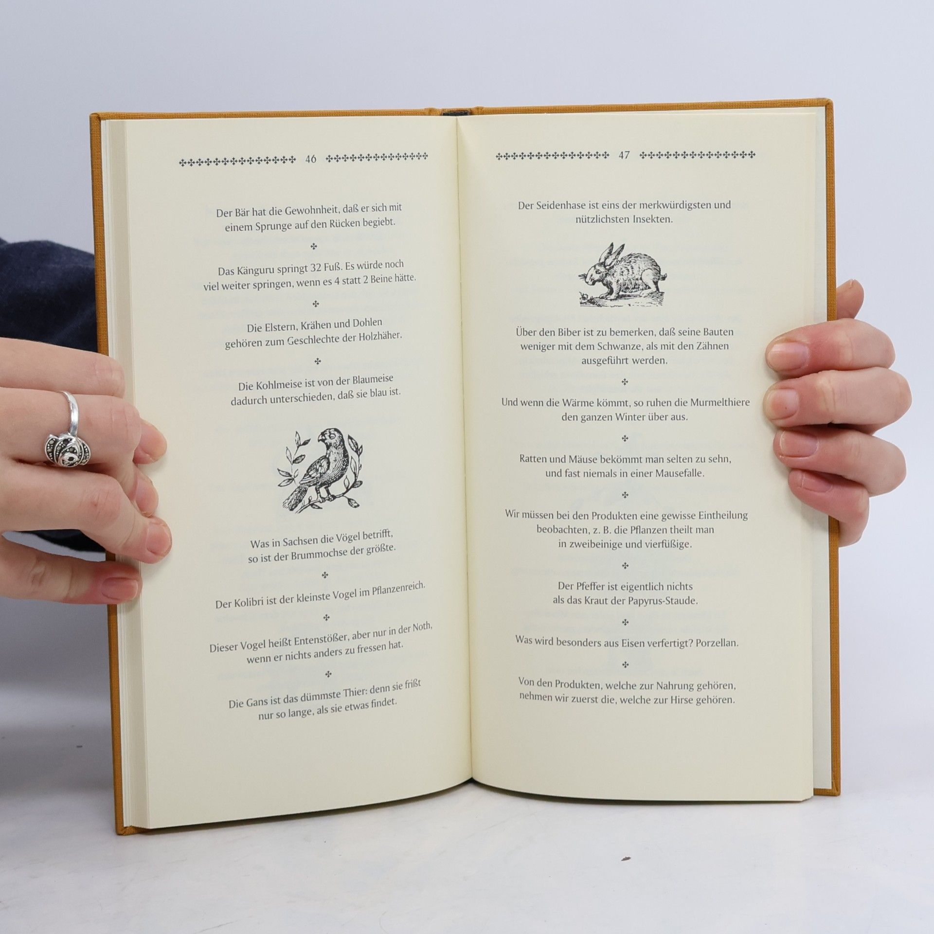 Johann Georg August Galletti Die klassischen Kathederblüten