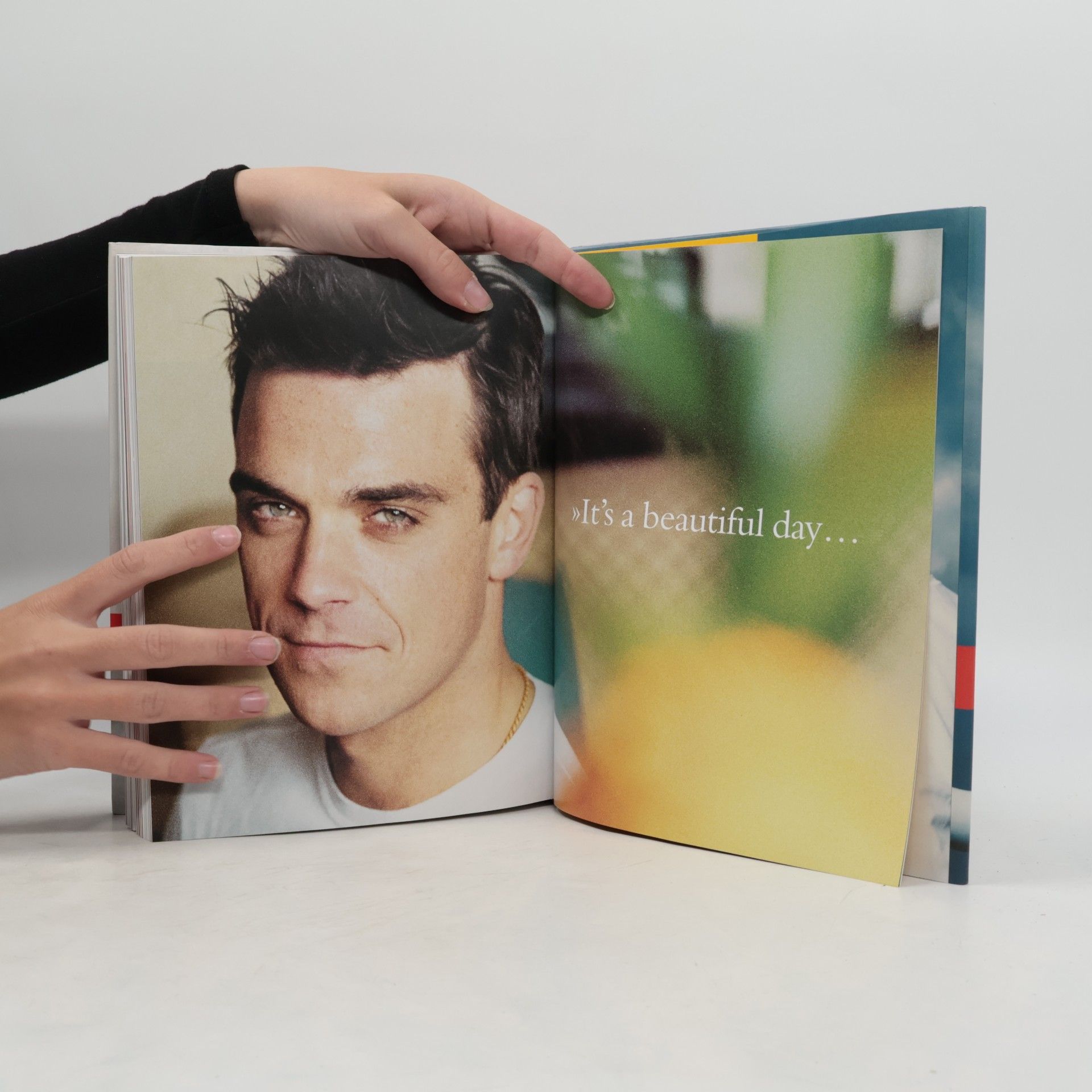 Mark McCrum Robbie Williams: Somebody Someday