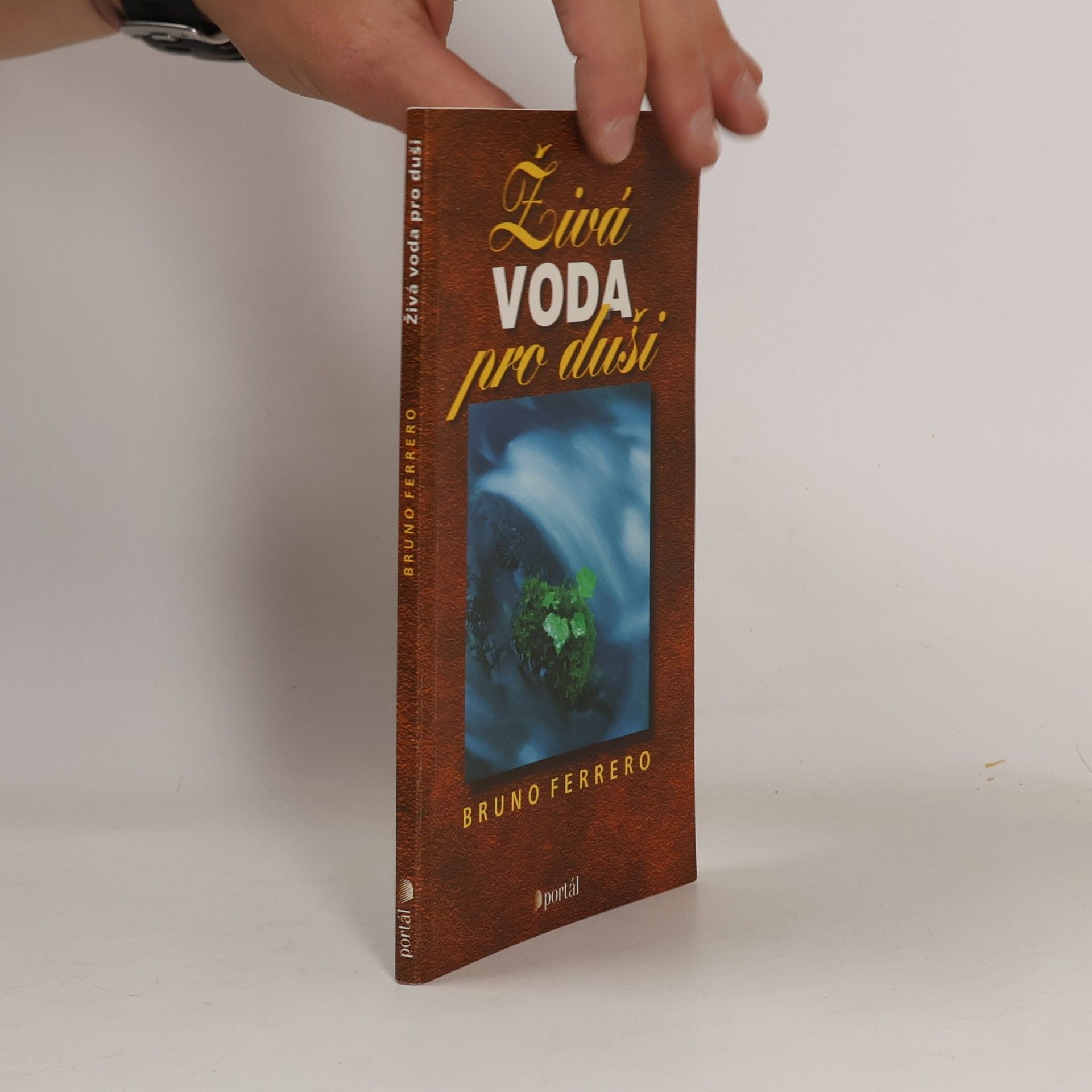 Bruno Ferrero Živá voda pro duši