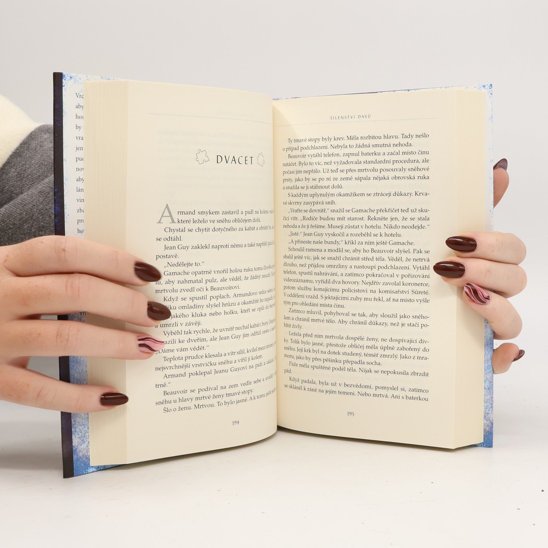 Louise Penny Šílenství davů