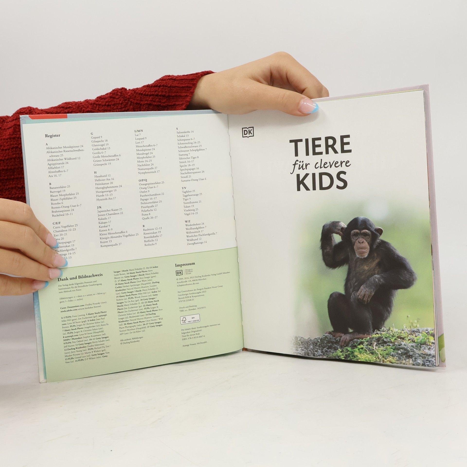 Collectif d'auteurs Tiere Afrikas für clevere Kids