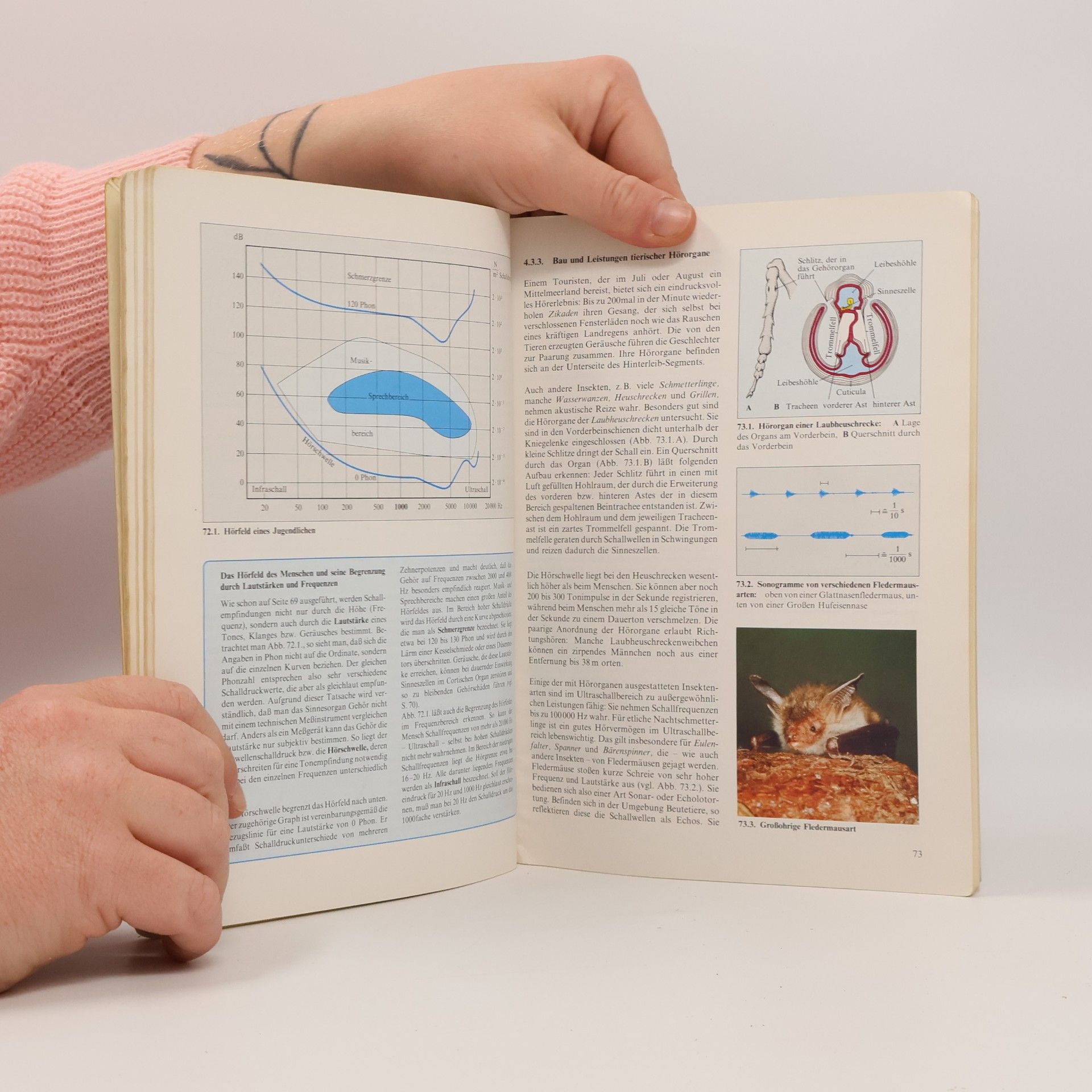 Wolfgang Miram Informationsverarbeitung