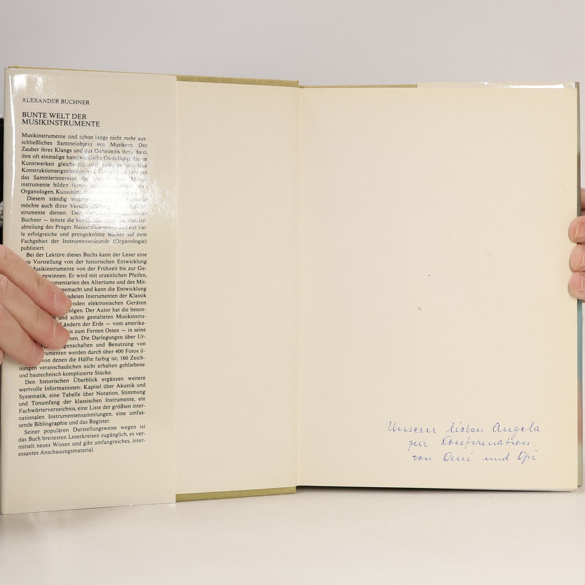 Alexander Buchner Bunte Welt der Musikinstrumente
