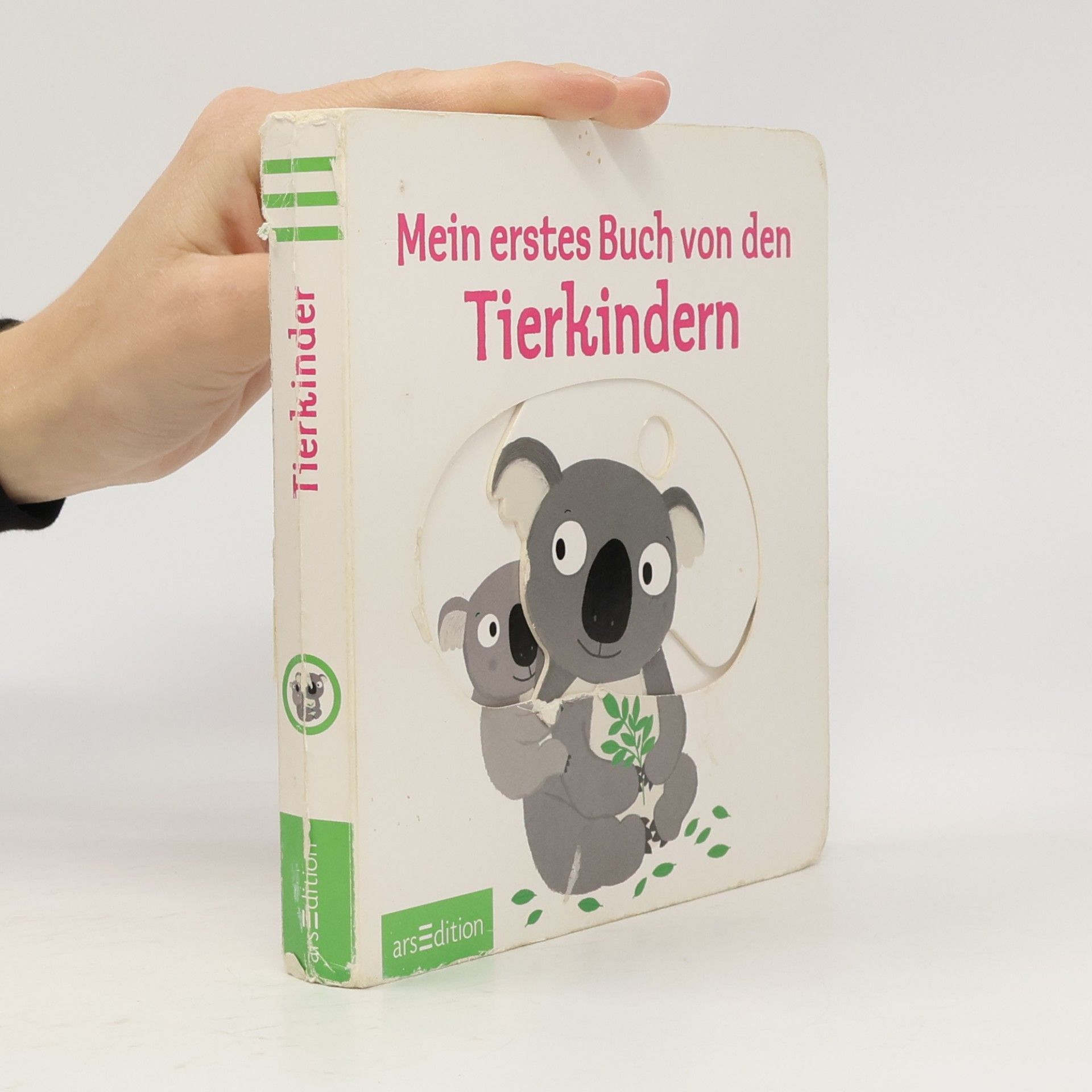 Nathalie Choux Mein erstes Buch von den Tierkindern