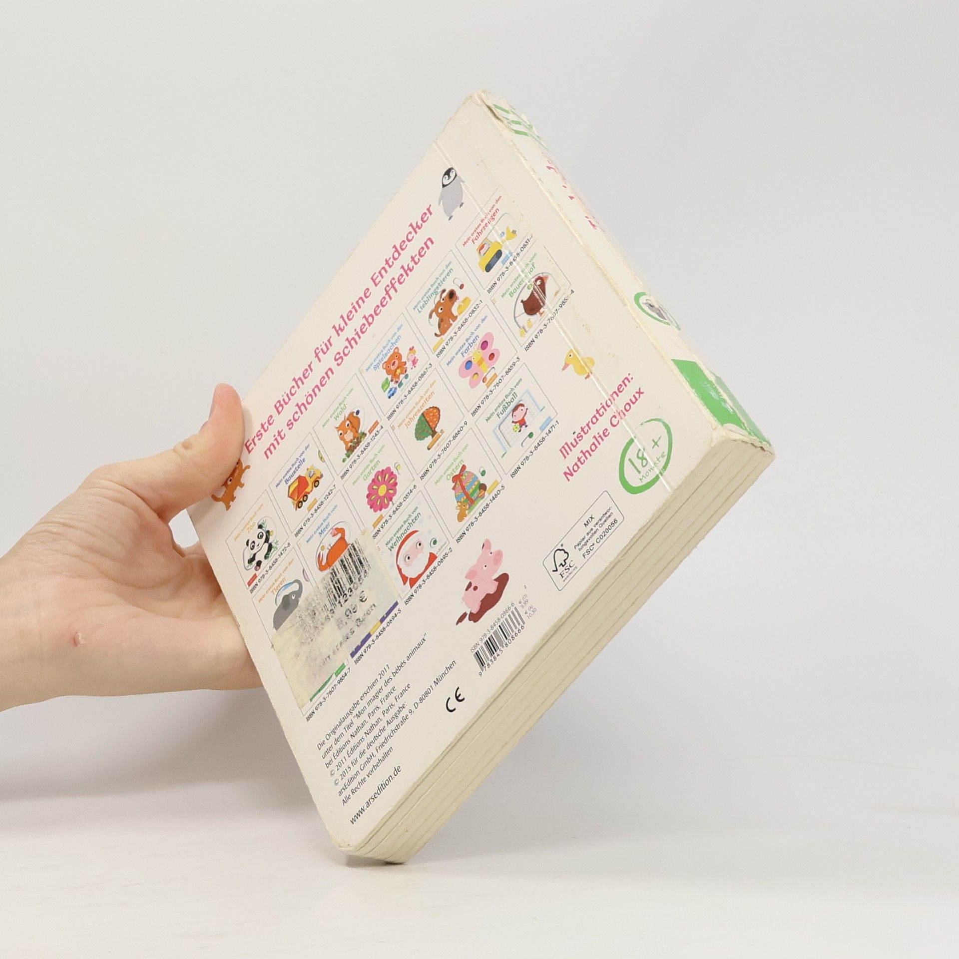 Nathalie Choux Mein erstes Buch von den Tierkindern