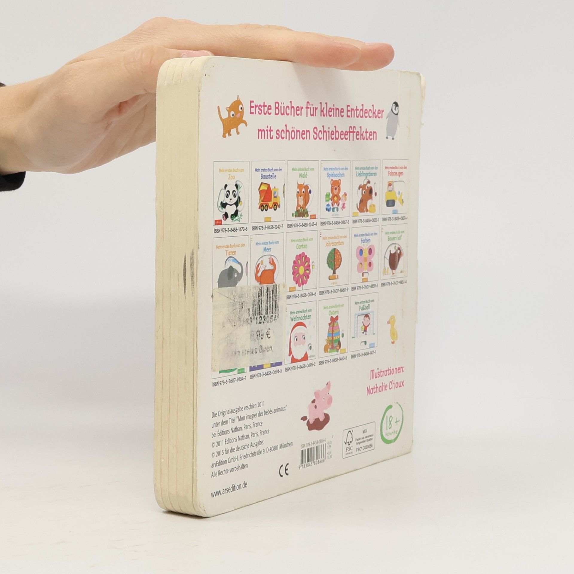 Nathalie Choux Mein erstes Buch von den Tierkindern